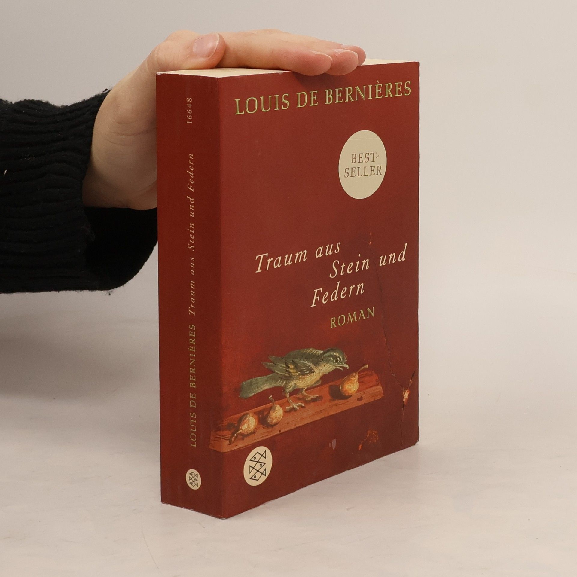 Louis de Bernieres Traum aus Stein und Federn