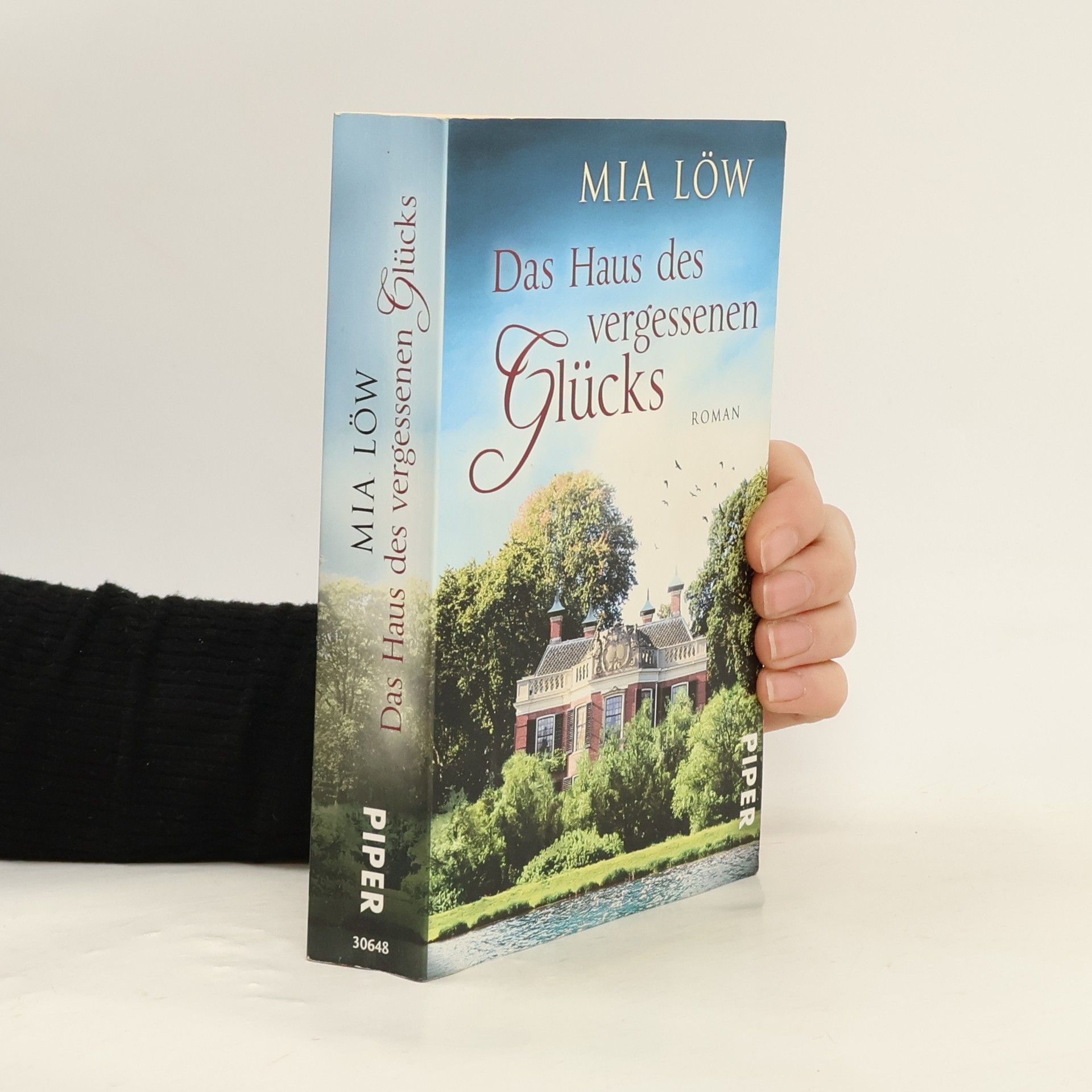 Mia Löw Das Haus des vergessenen Glücks