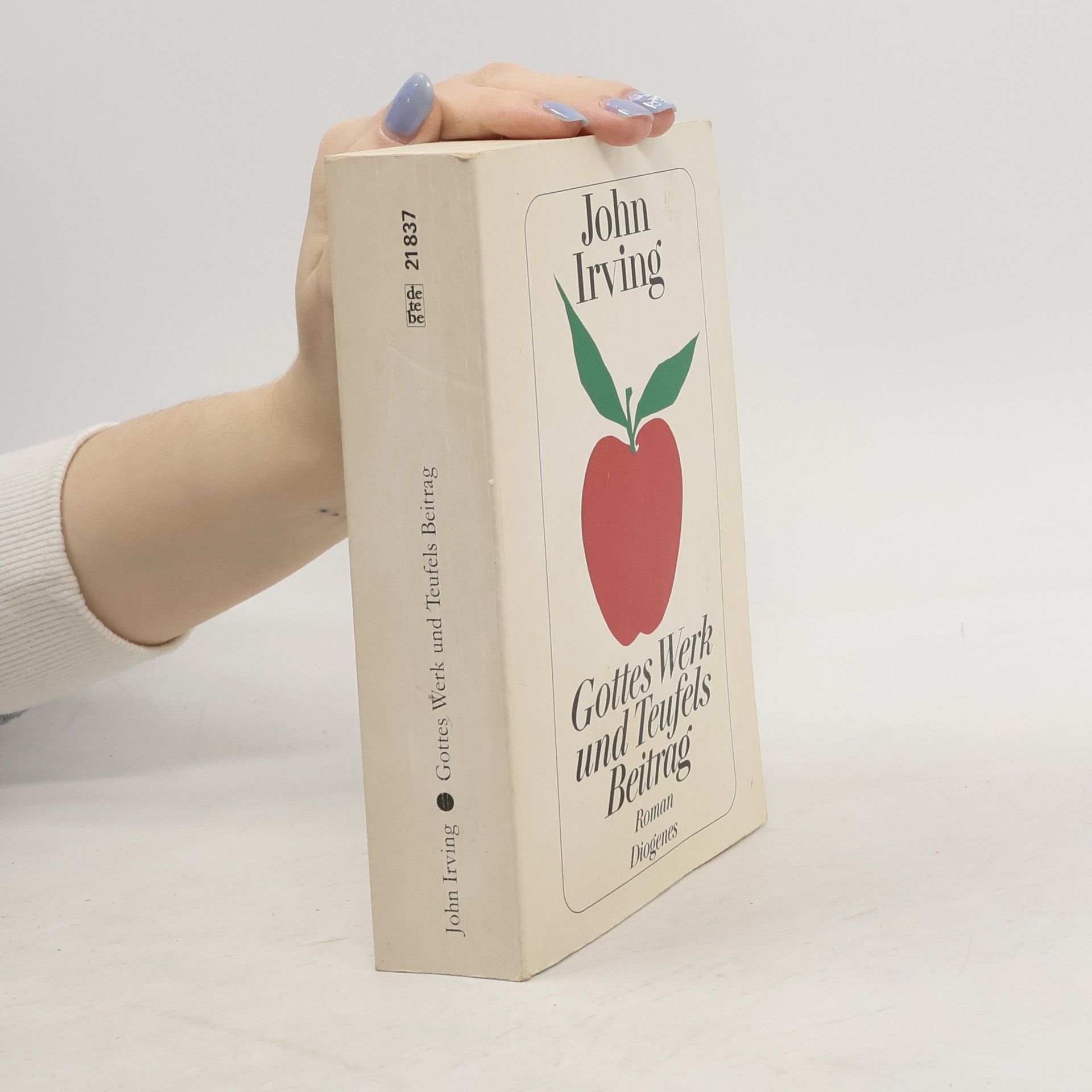 John Irving Gottes Werk und Teufels Beitrag