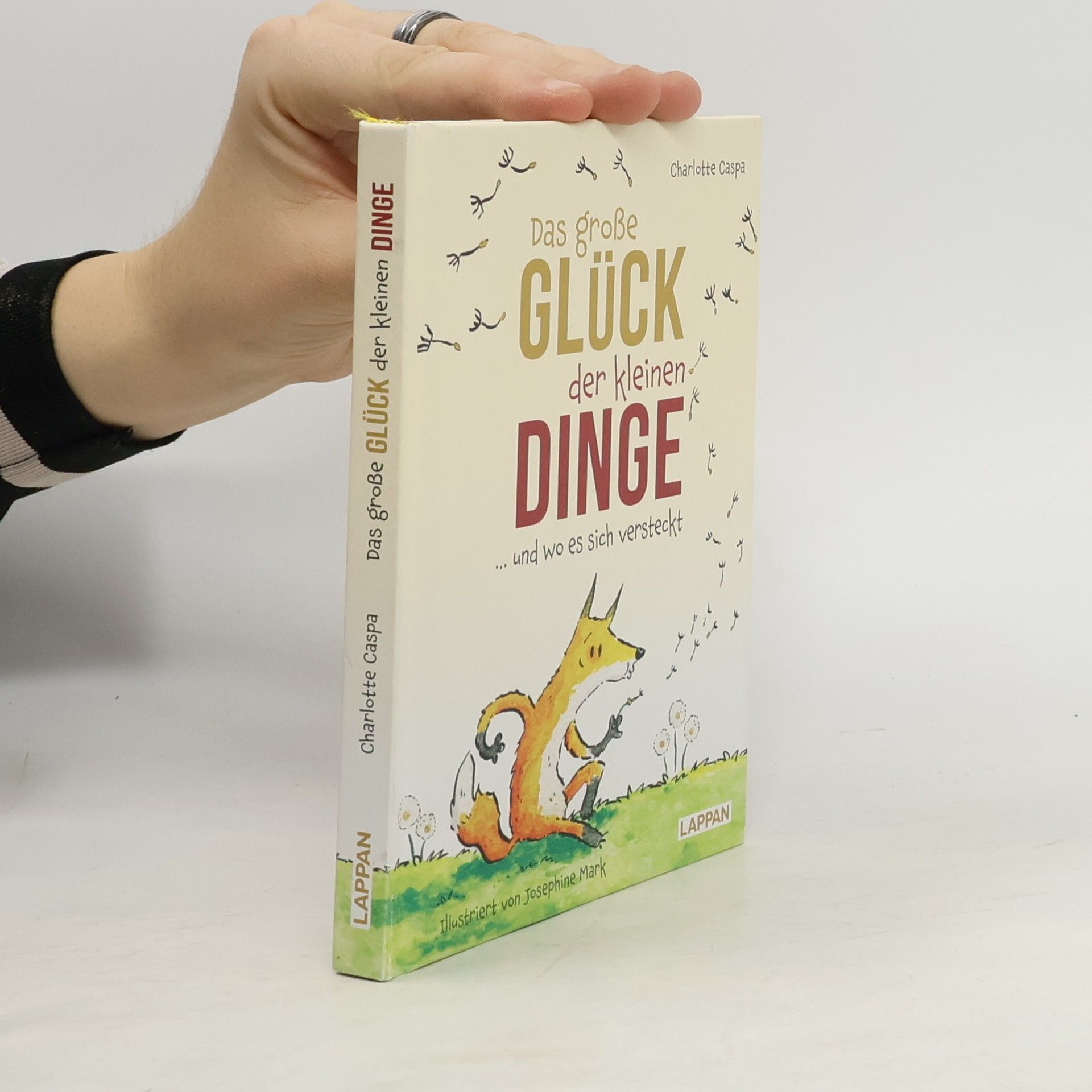 Charlotte Caspa Das große Glück der kleinen Dinge ... und wo es sich versteckt