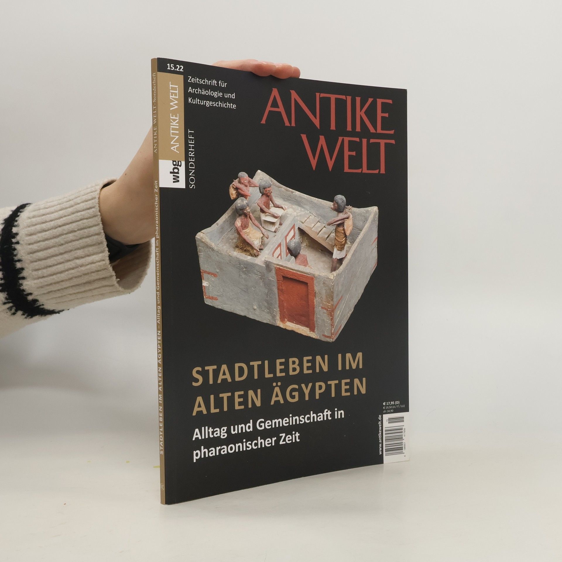 Heidi Köpp-Junk Stadtleben im Alten Ägypten