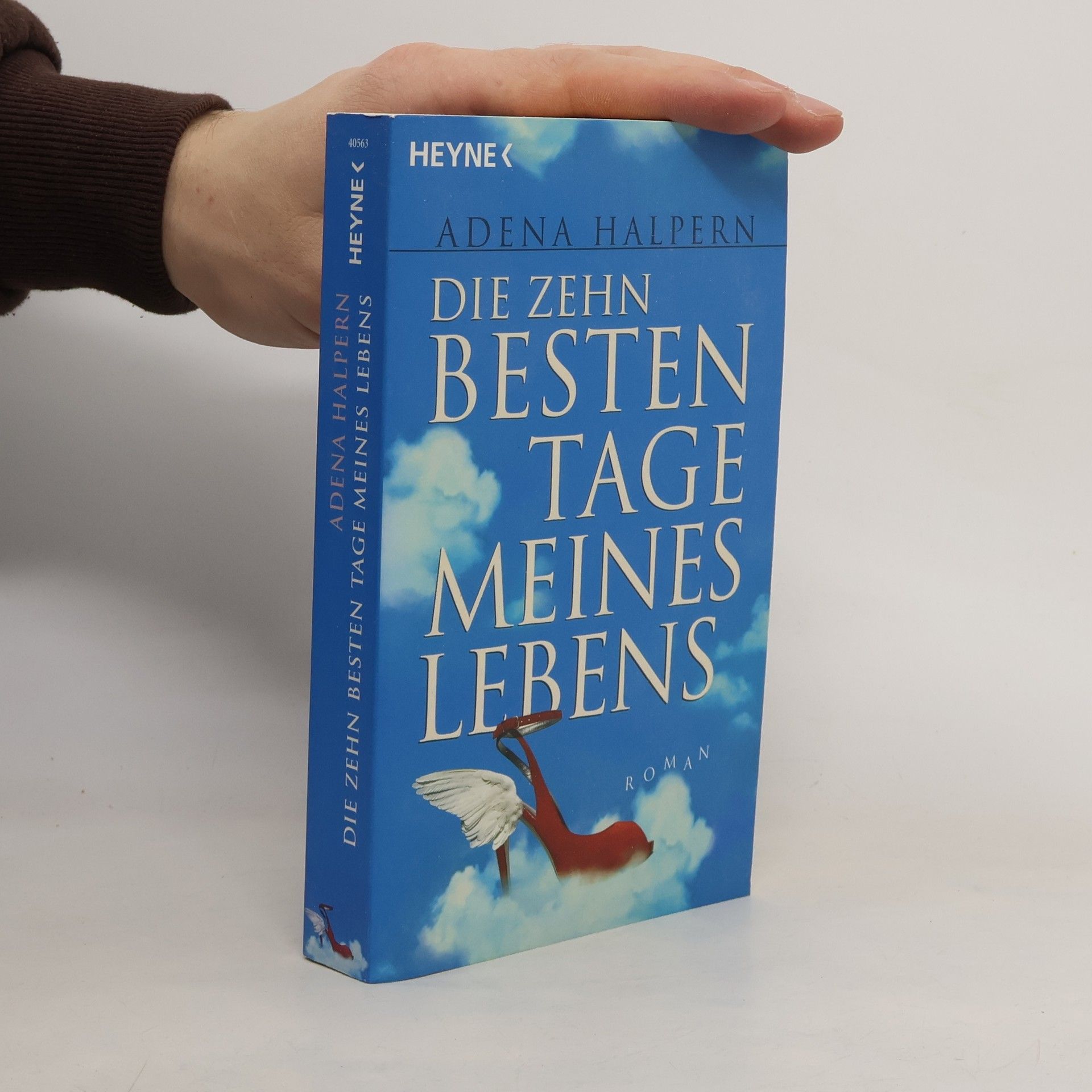 Adena Halpern Die zehn besten Tage meines Lebens