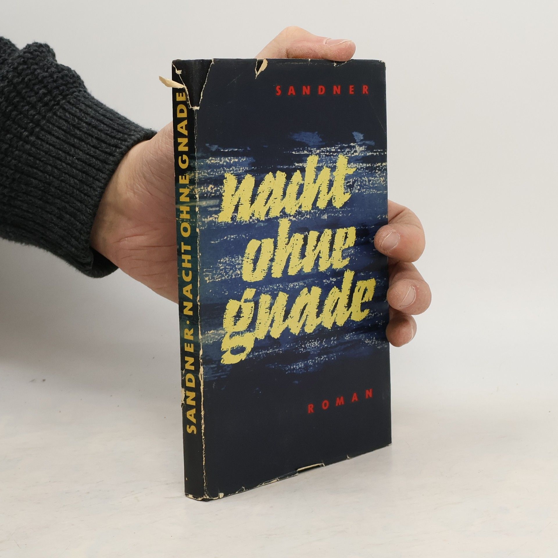 Kolektív autorov Nacht ohne guade