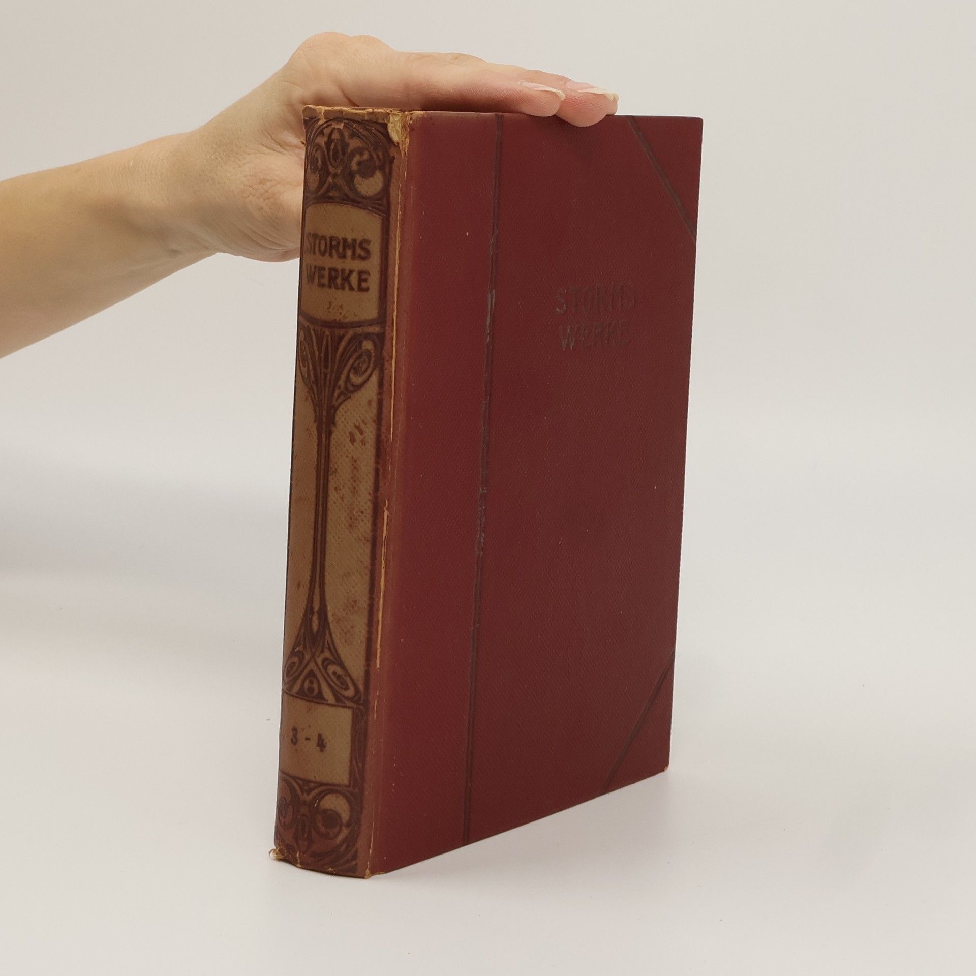 Storms Werke 3-4