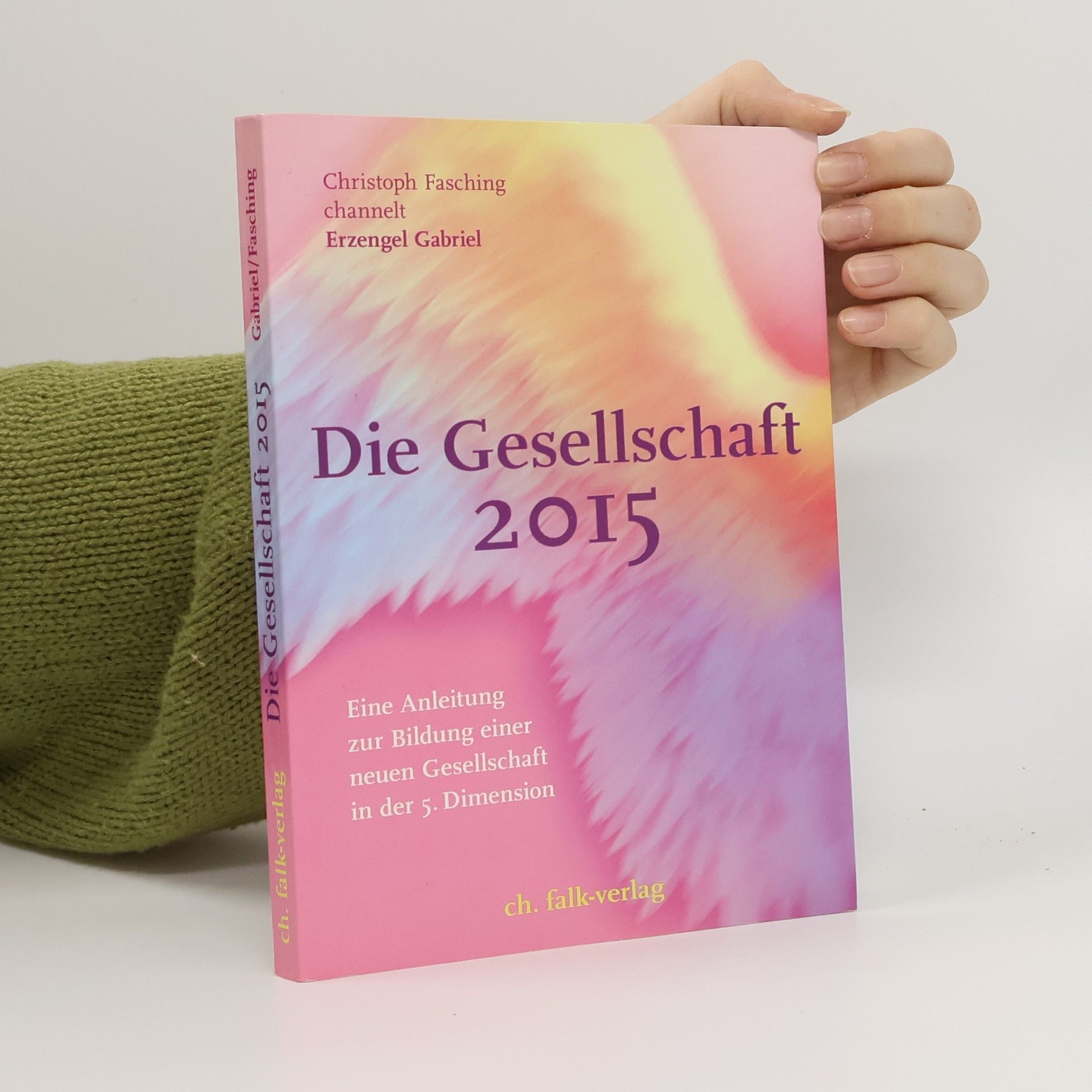 Christoph Fasching Die Gesellschaft 2015