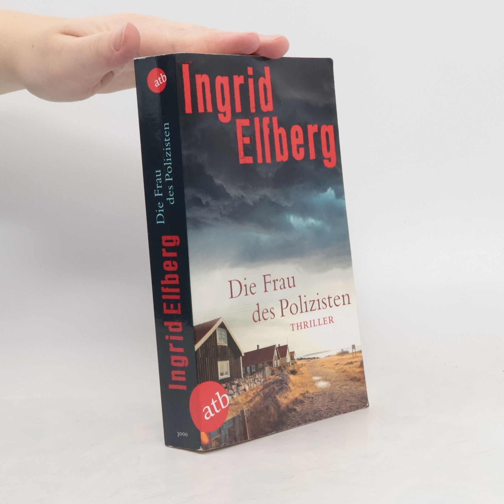 Ingrid Elfberg Die Frau des Polizisten