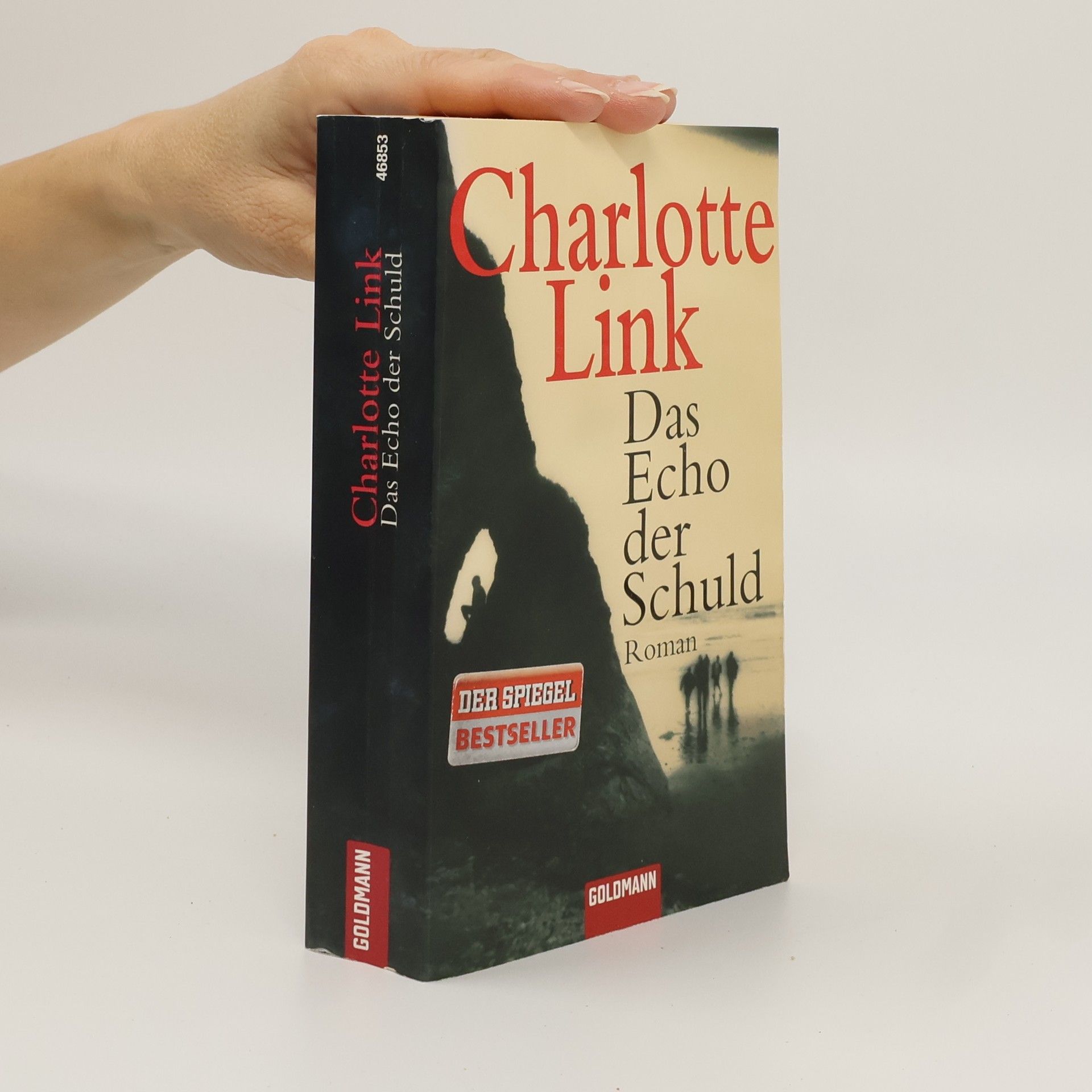 Charlotte Link Das Echo der Schuld