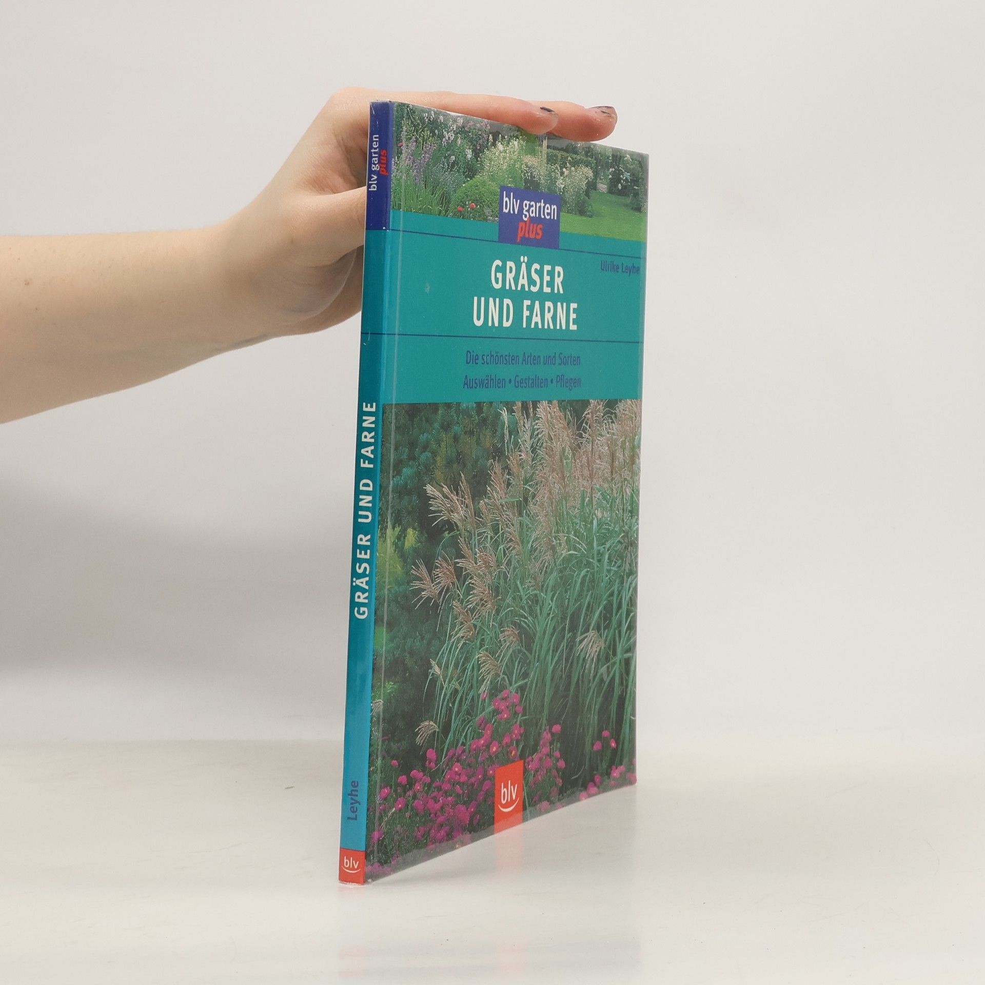 Ulrike Leyhe Gräser und Farne