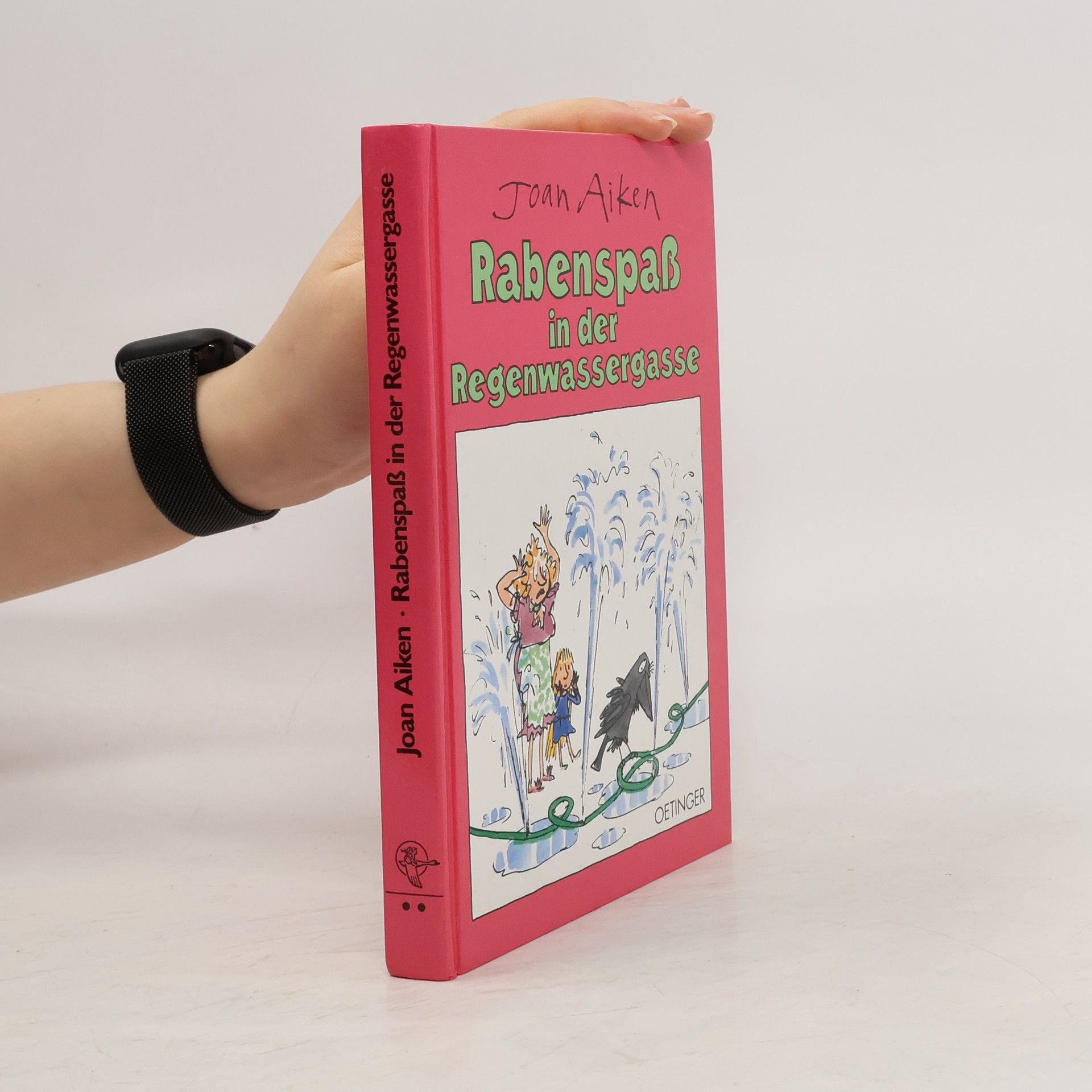 Joan Aiken Rabenspass in der Regenwassergasse