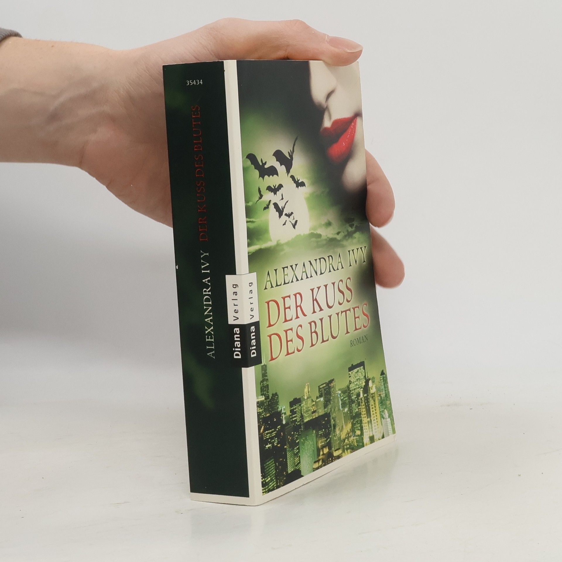 Alexandra Ivy Der Kuss des Blutes