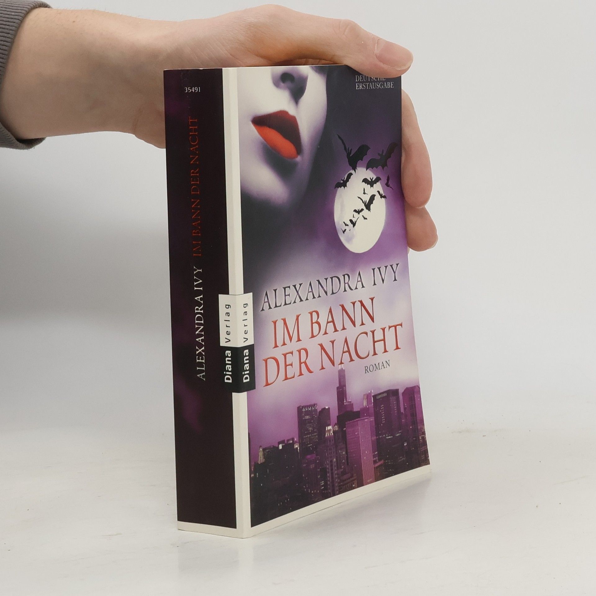 Alexandra Ivy Im Bann der Nacht
