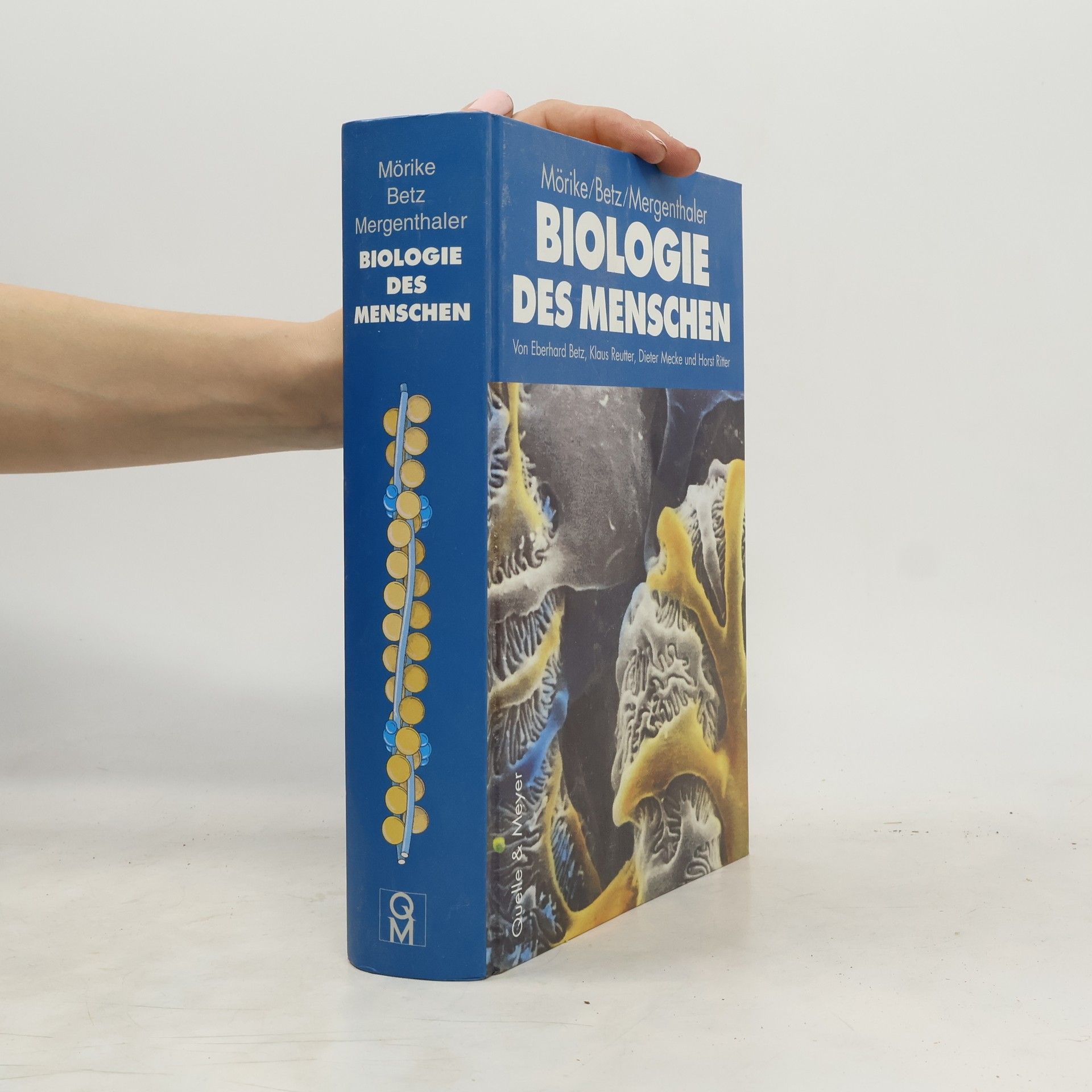 Biologie des Menschen