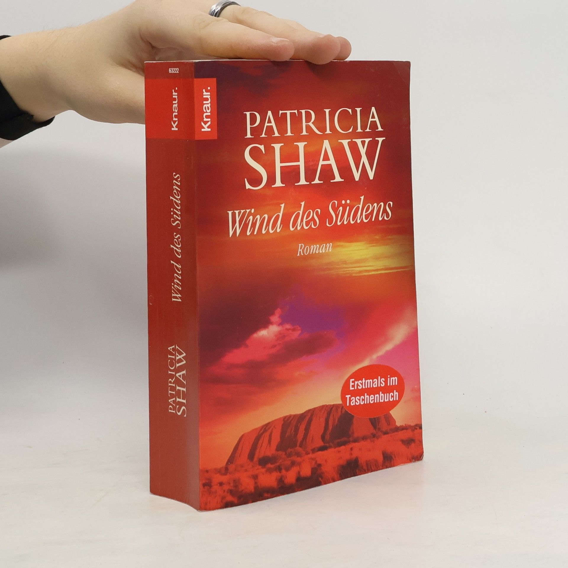 Patricia Shaw Wind des Südens