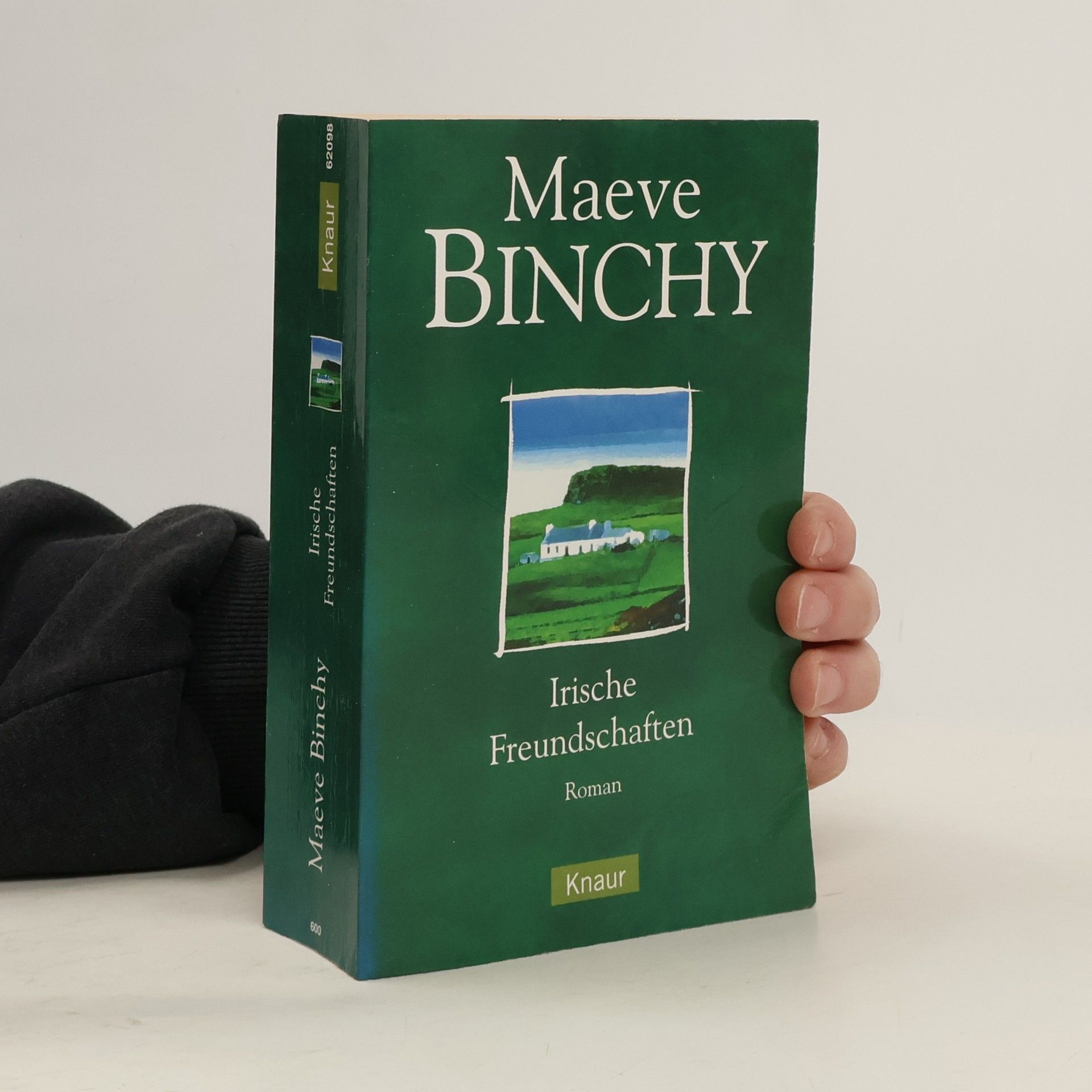 Maeve Binchy Irische Freundschaften