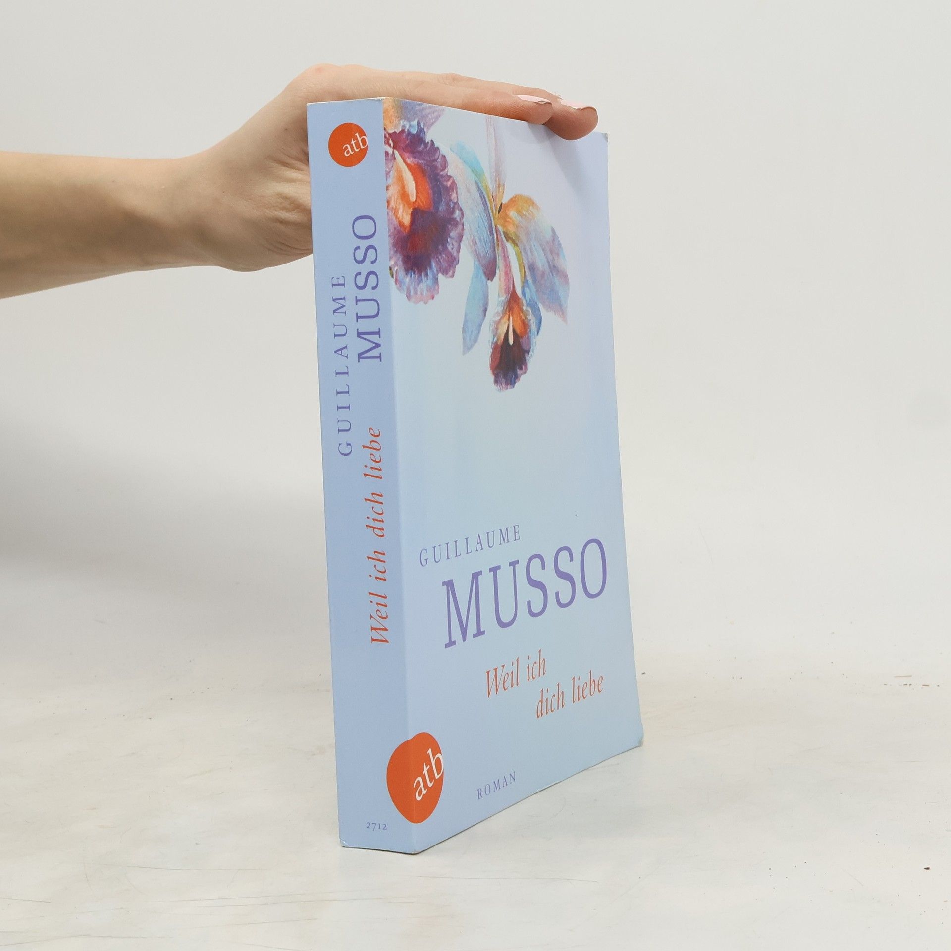 Guillaume Musso Weil ich dich liebe