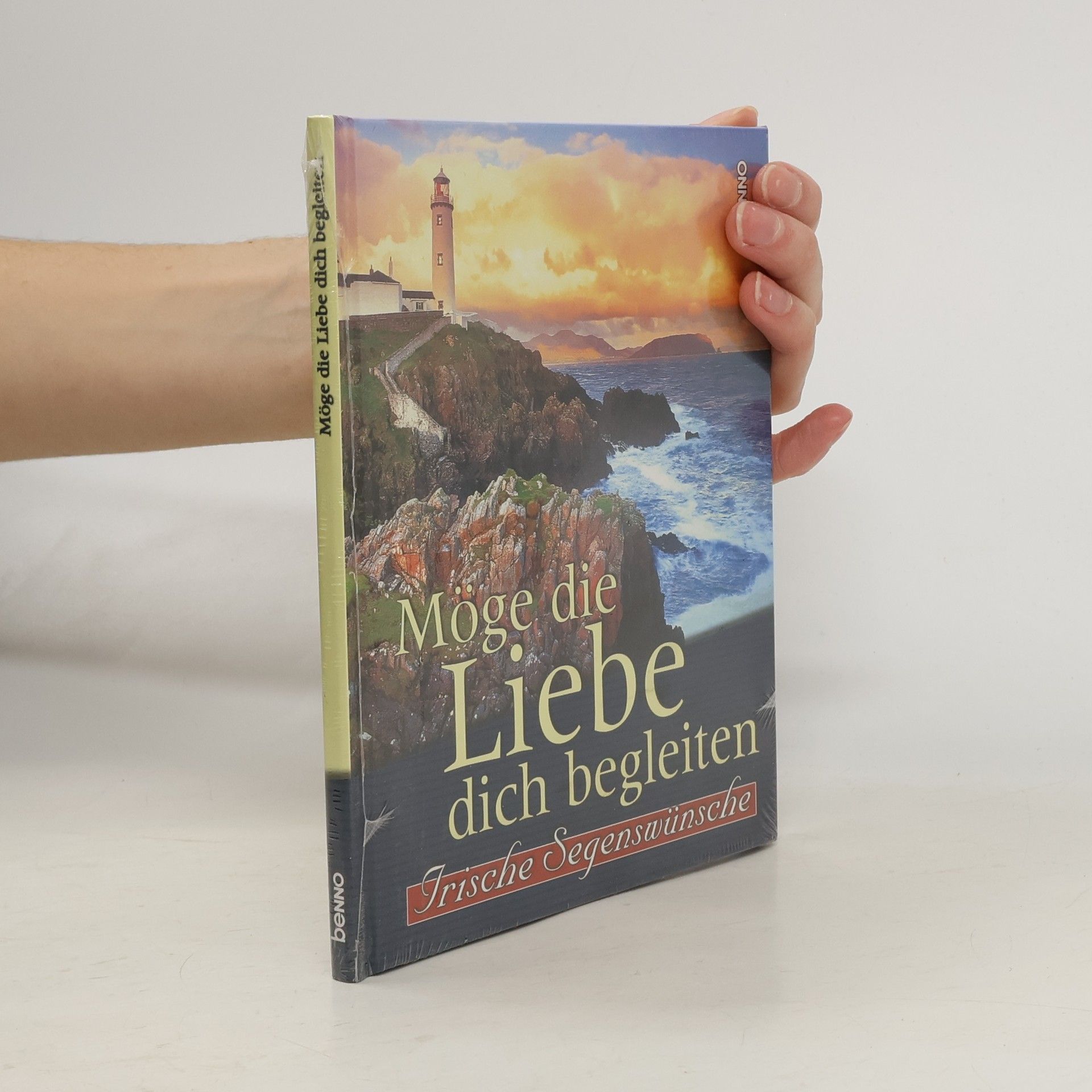 Kolektív autorov Möge die Liebe dich begleiten. Irische Segenswünsche