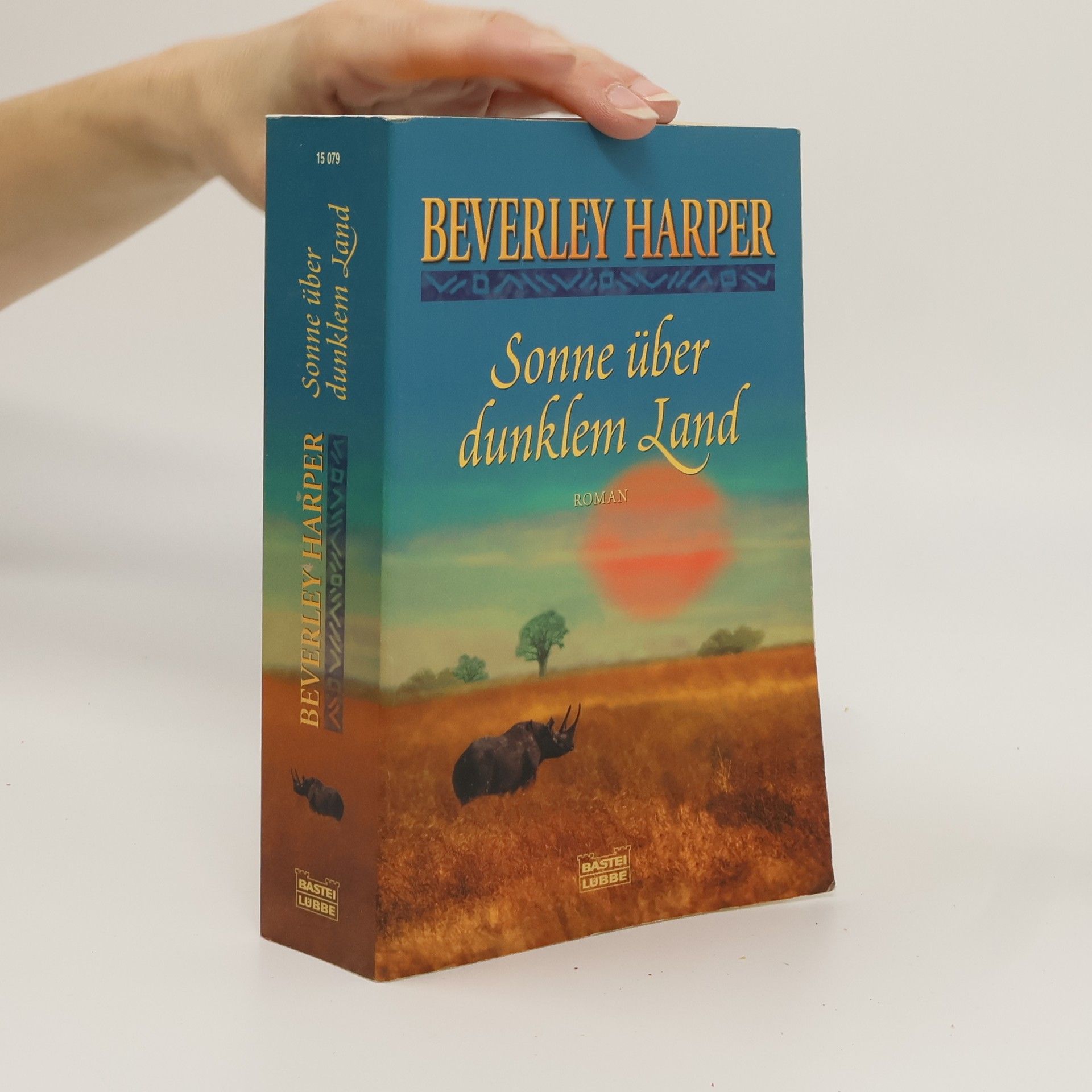 Beverley Harper Sonne über dunklem Land