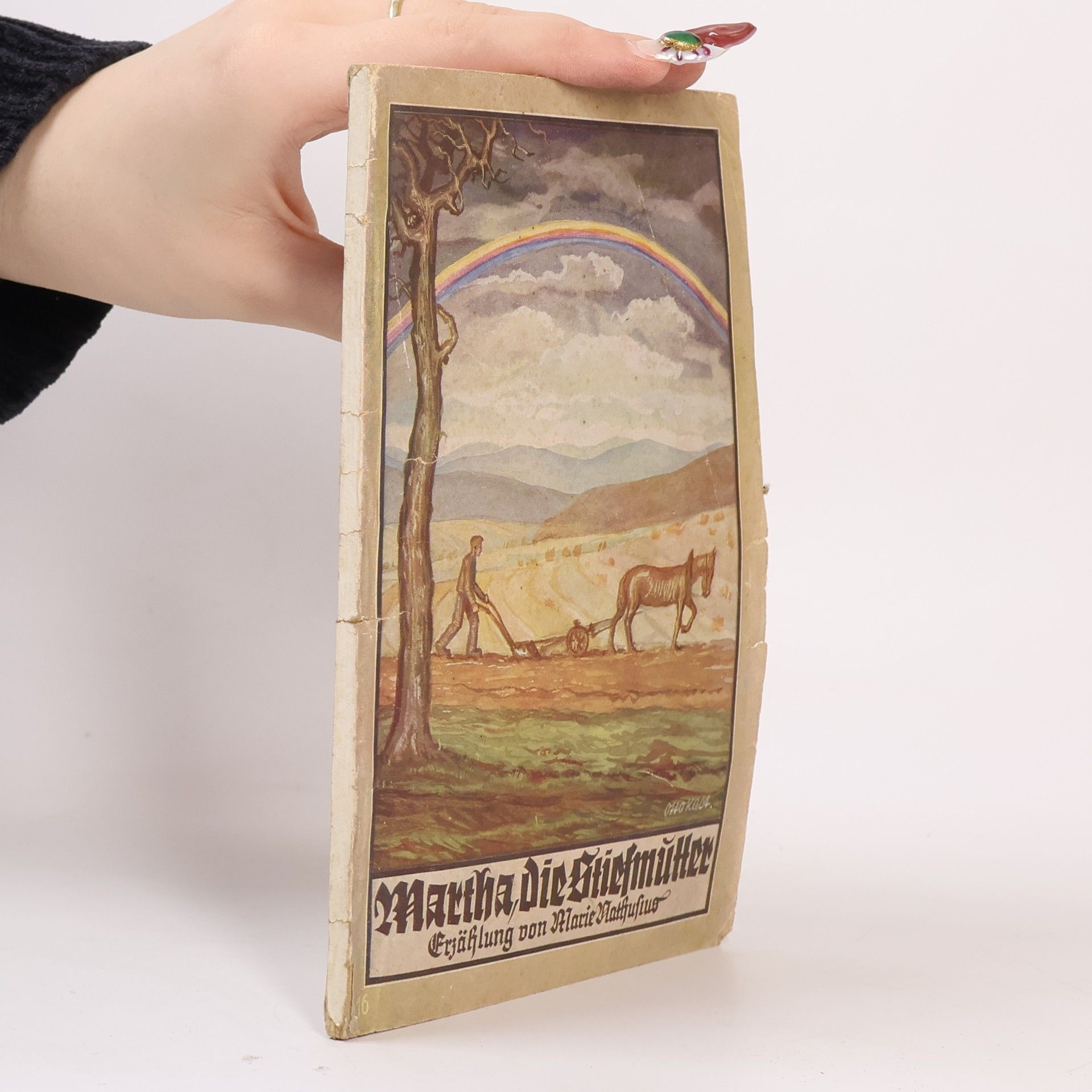 Marie von Nathusius Martha die Stiefmutter