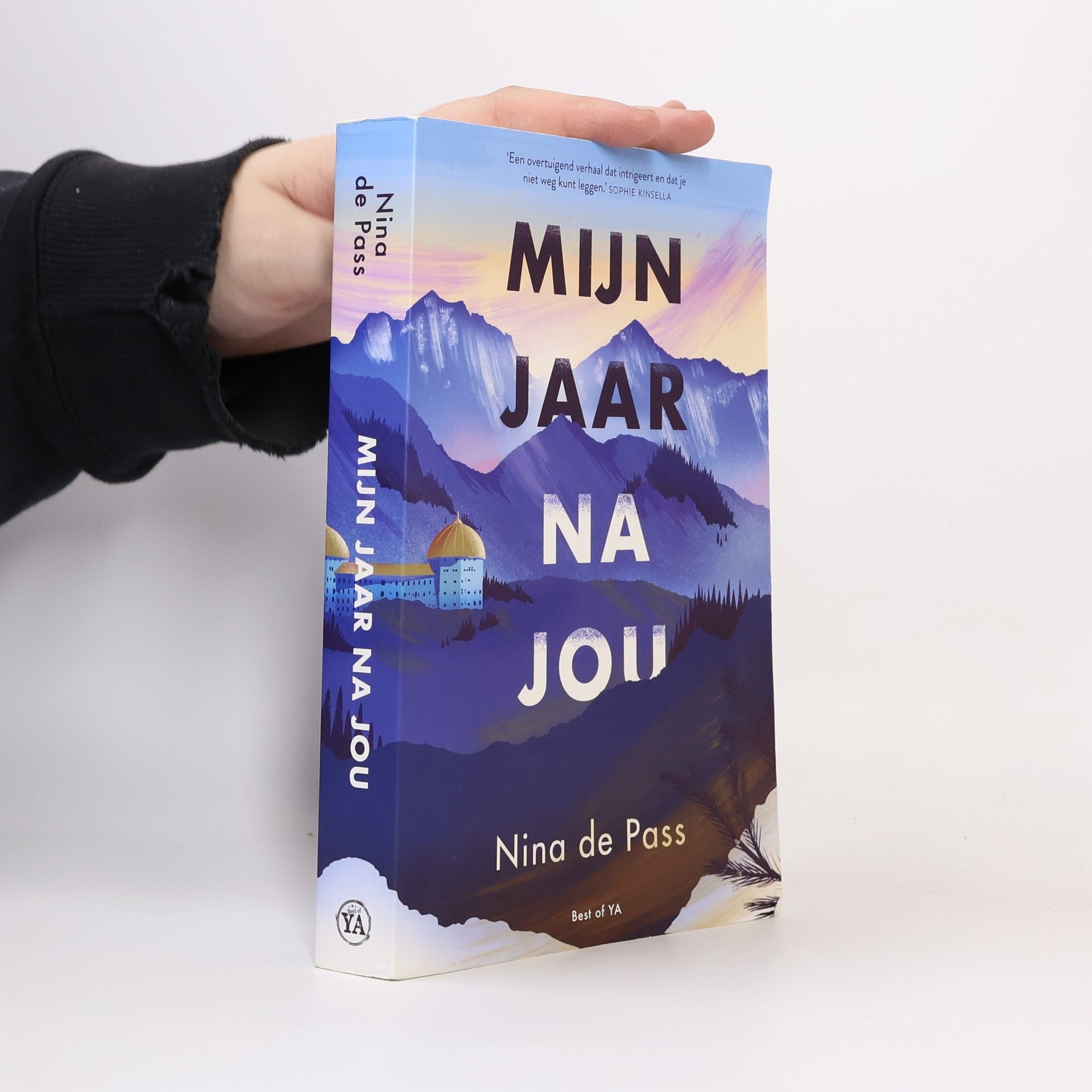 Nina De Pass Mijn jaar na jou