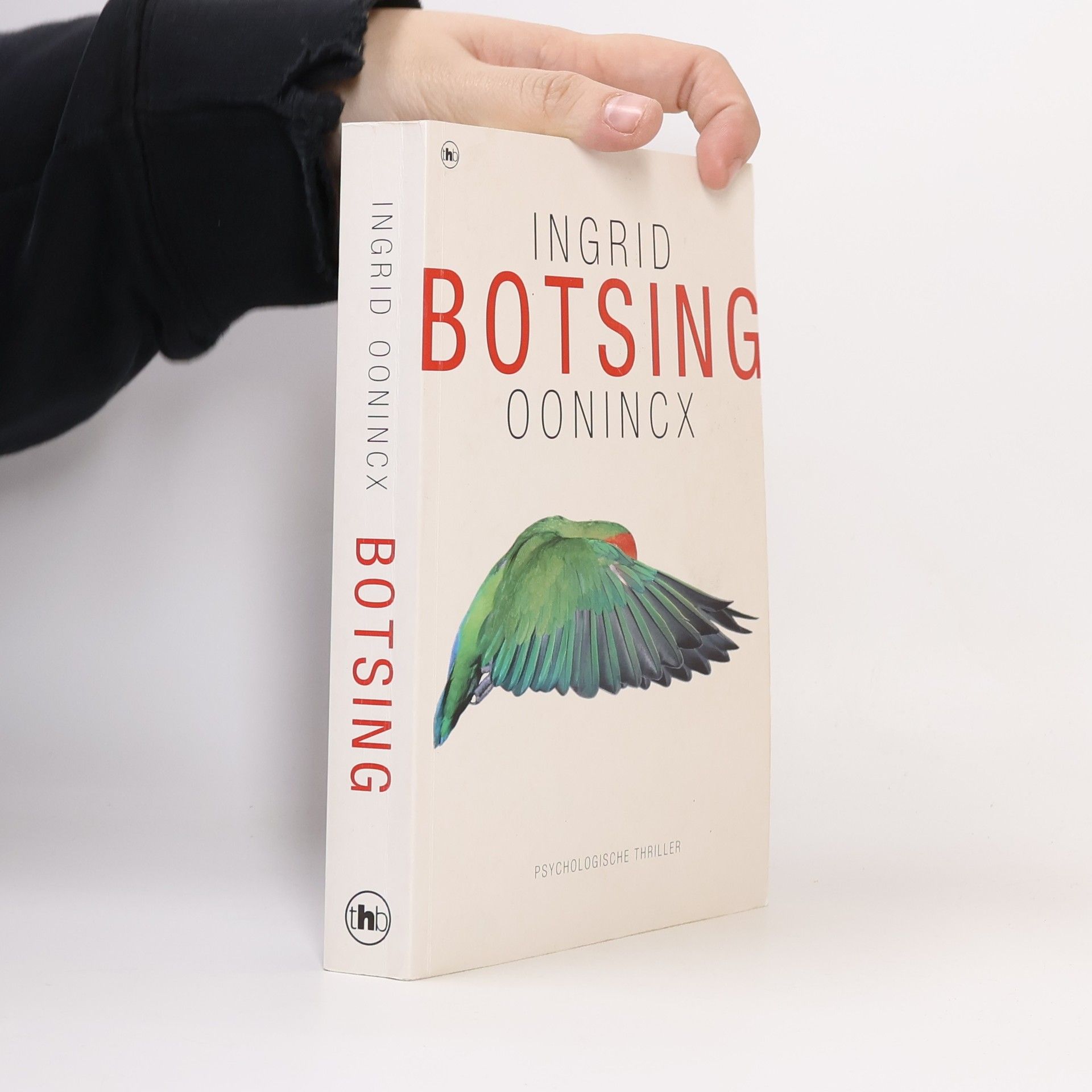 Ingrid Oonincx Botsing