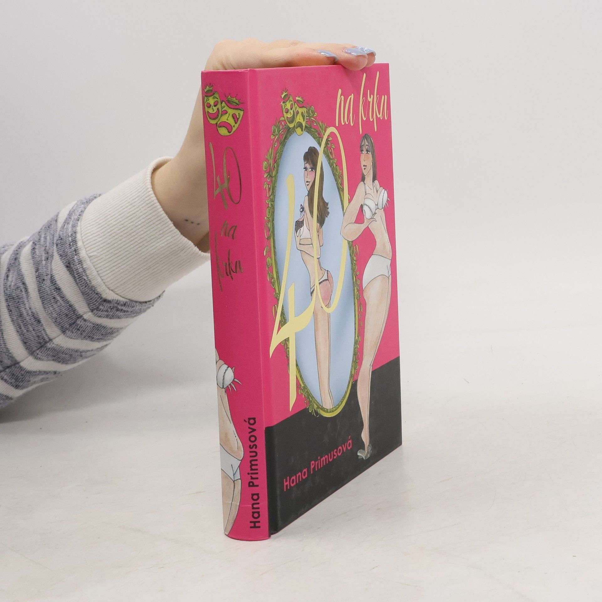 Hana Primusová Čtyřicítka na krku, aneb, Tragikomické povídání pro dospělé dámy