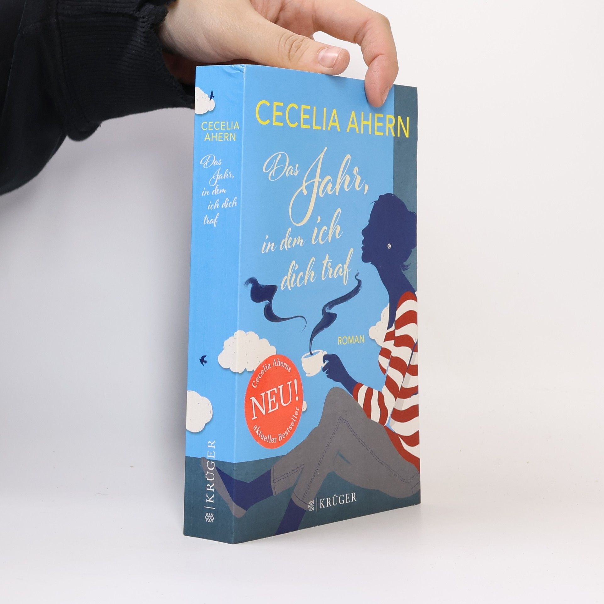 Cecelia Ahern Das Jahr, in dem ich dich traf