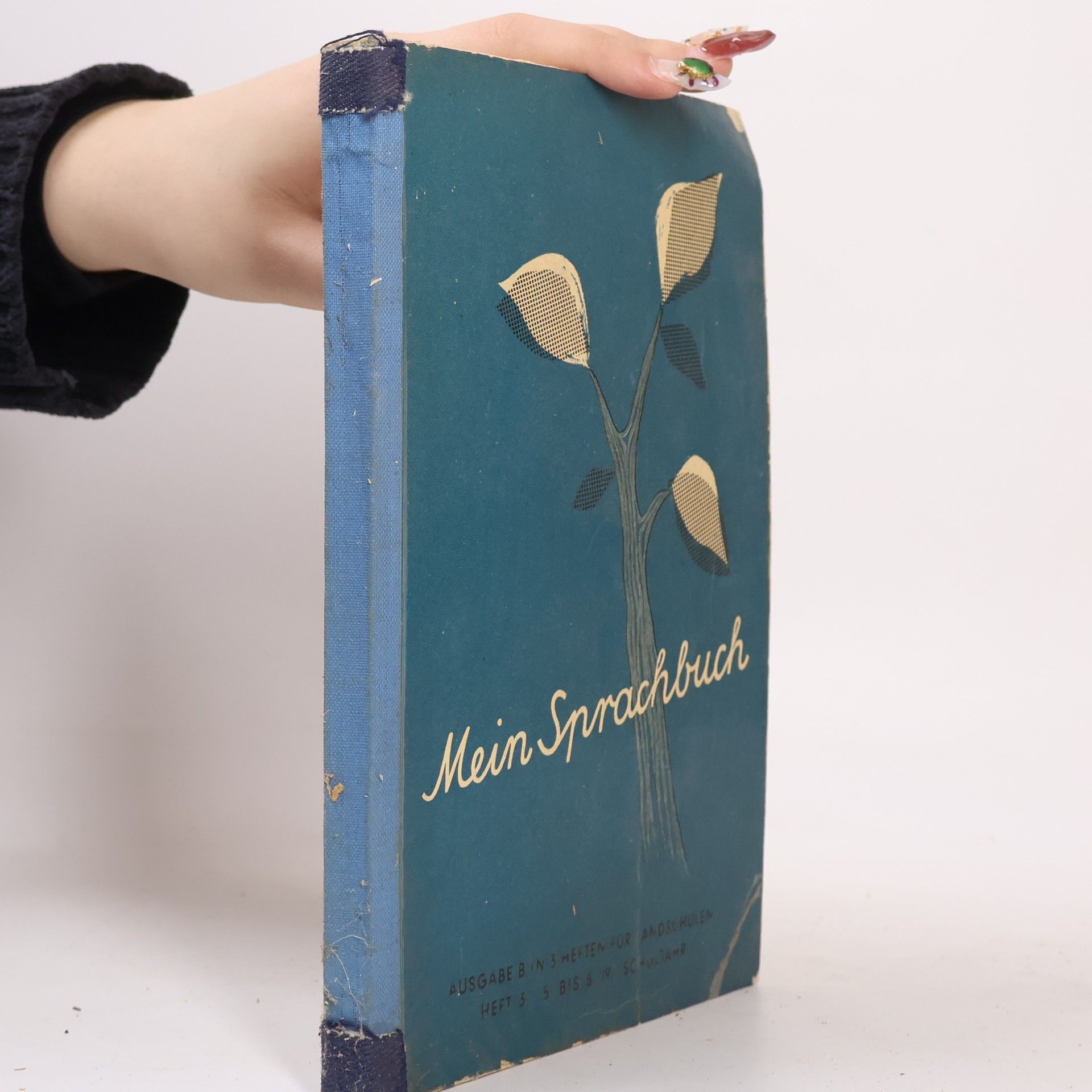 Collectif d'auteurs Mein Sprachbuch für Baden-Württemberg