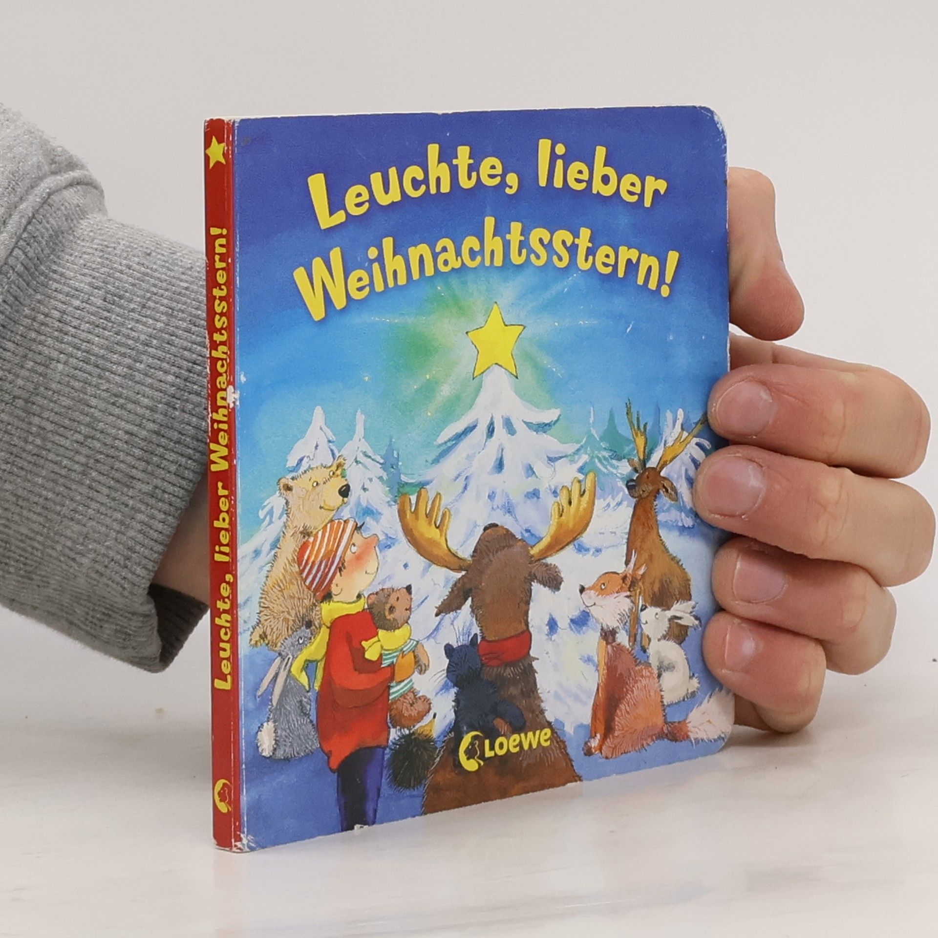 Autorenkollektiv Leuchte, lieber Weihnachtsstern!