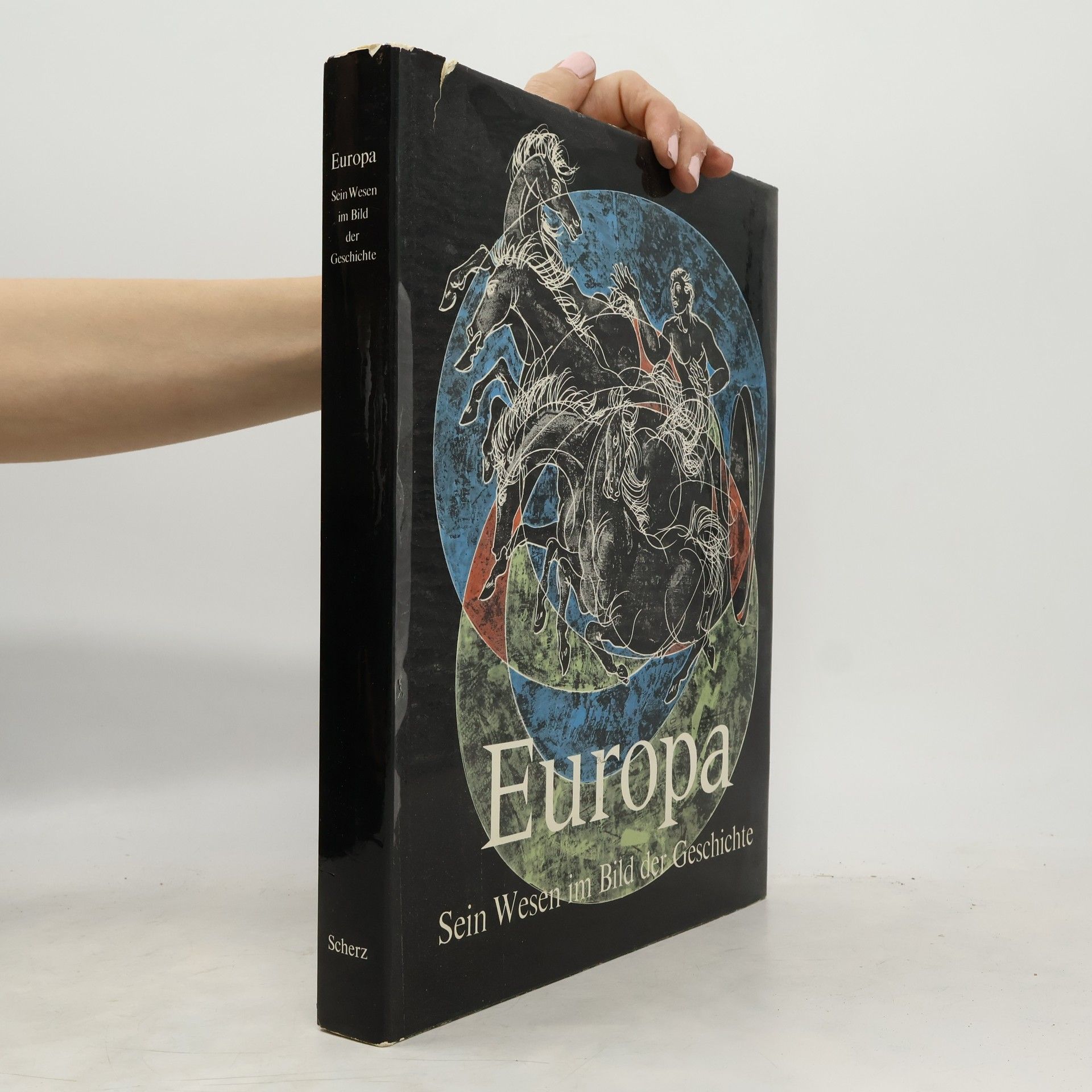 Auteurscollectief Europa Sein Wesen im Bild der Geschichte
