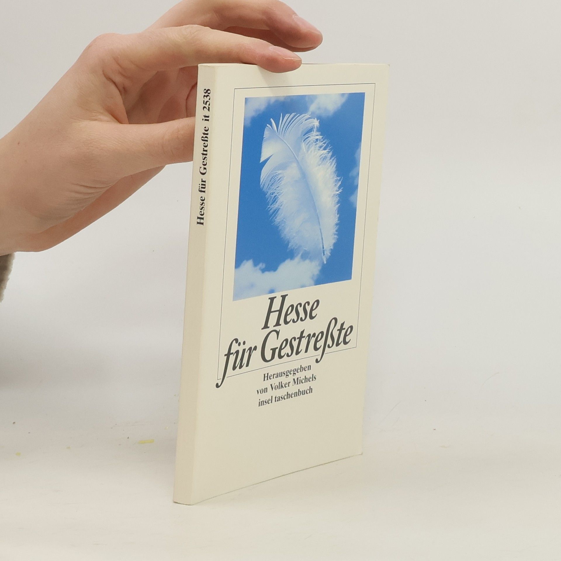 Hermann Hesse Hesse für Gestreßte