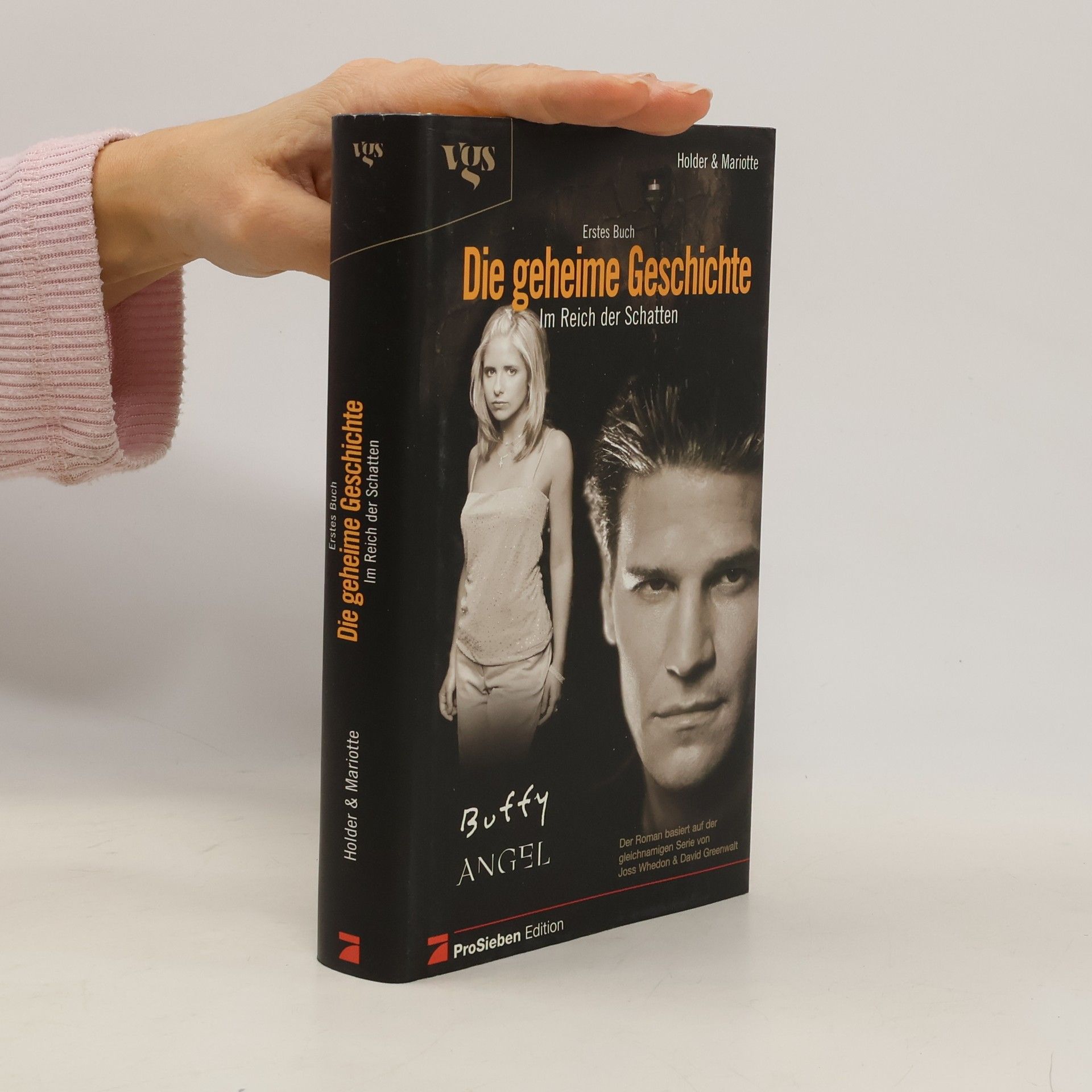 Nancy Holder Die geheime Geschichte. Buch.1. Das Reich der Schatten. Aus d. Amerikan. v. Antje Görnig