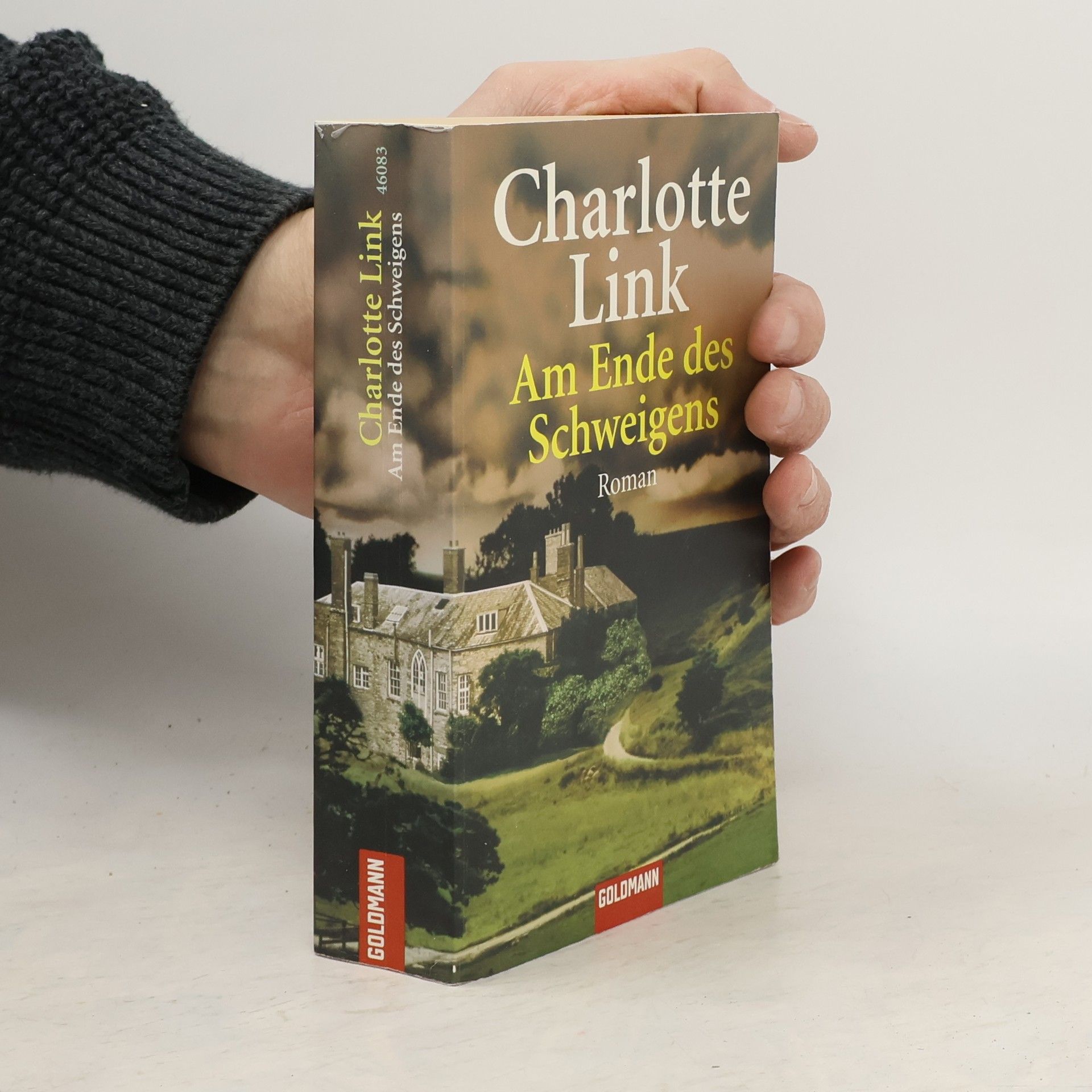 Charlotte Link Am Ende des Schweigens