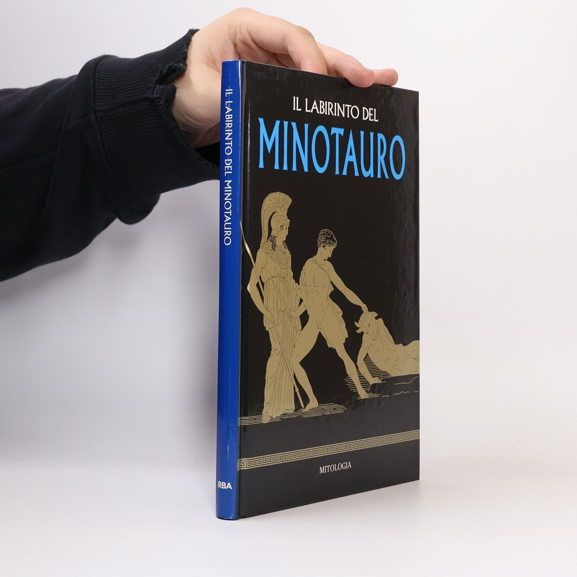 AA.VV. Il laberinto del Minotauro