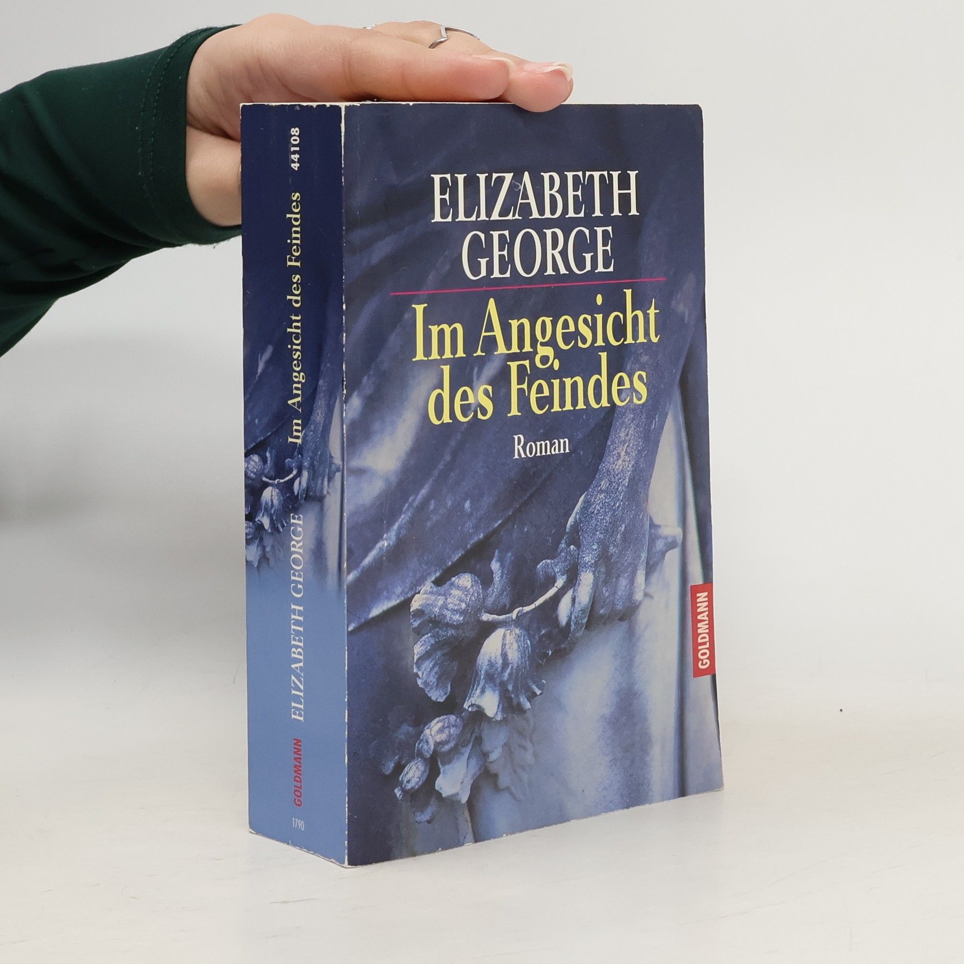 Im Angesicht des Feindes