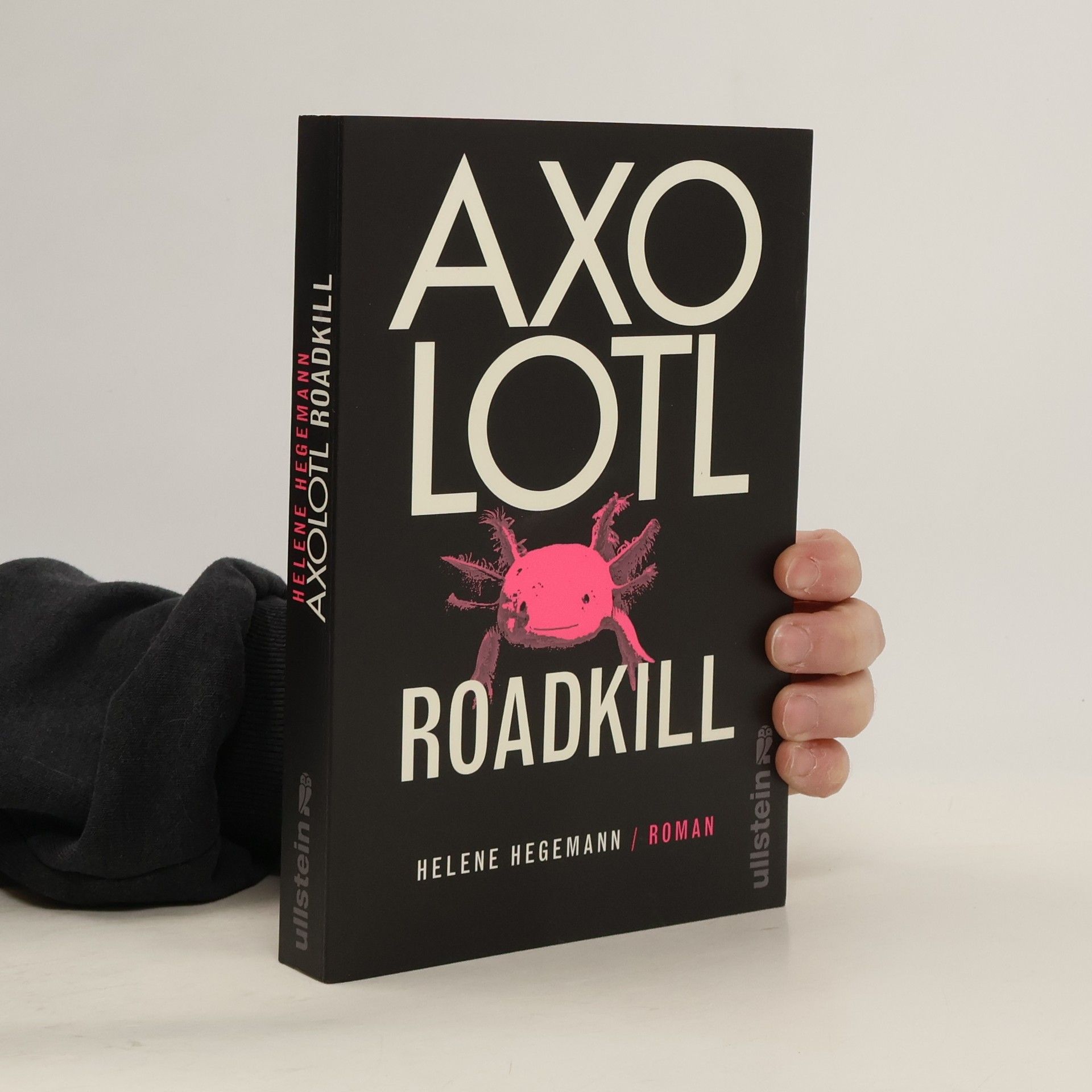 Helene Hegemann Axolotl Roadkill : Roman