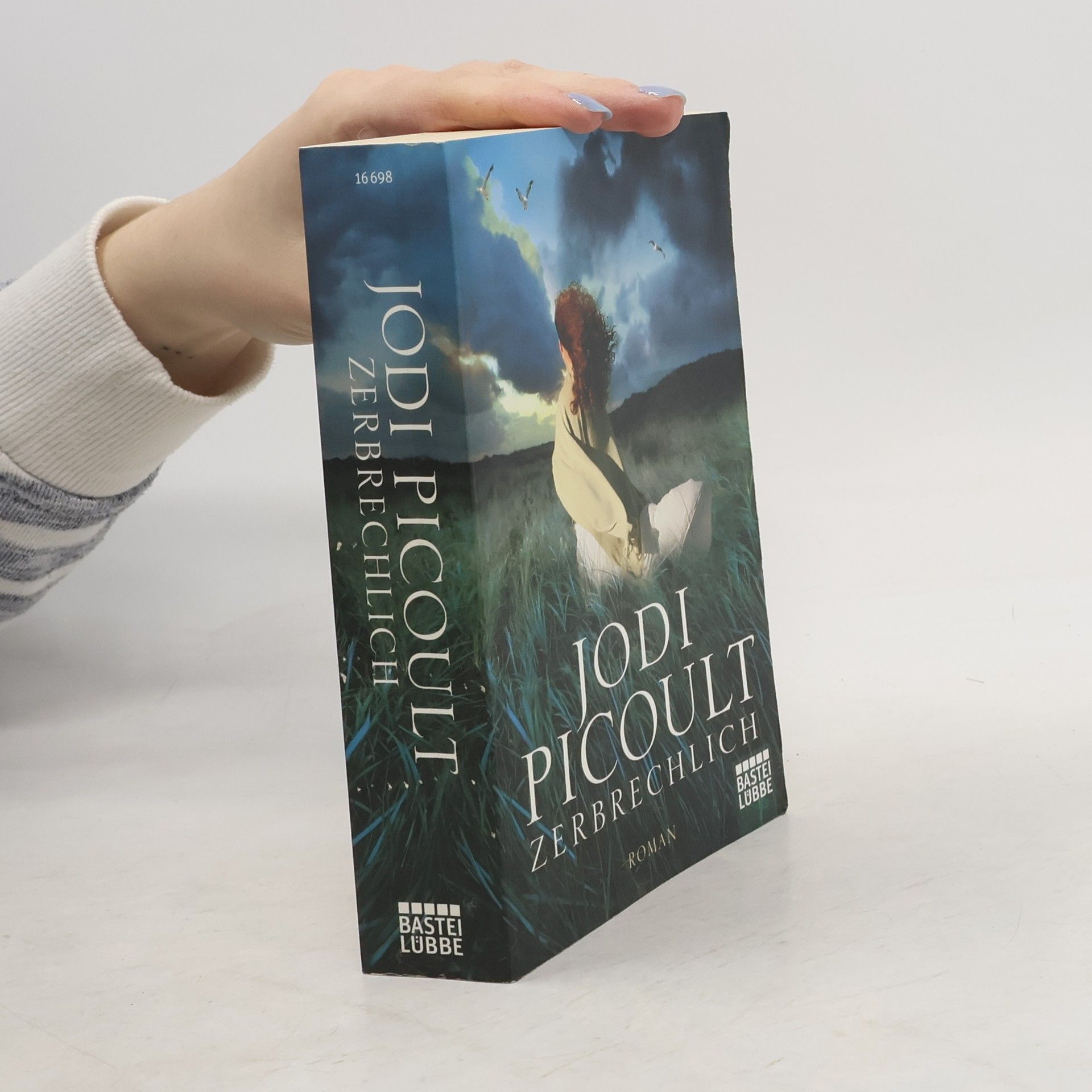 Jodi Picoult Zerbrechlich