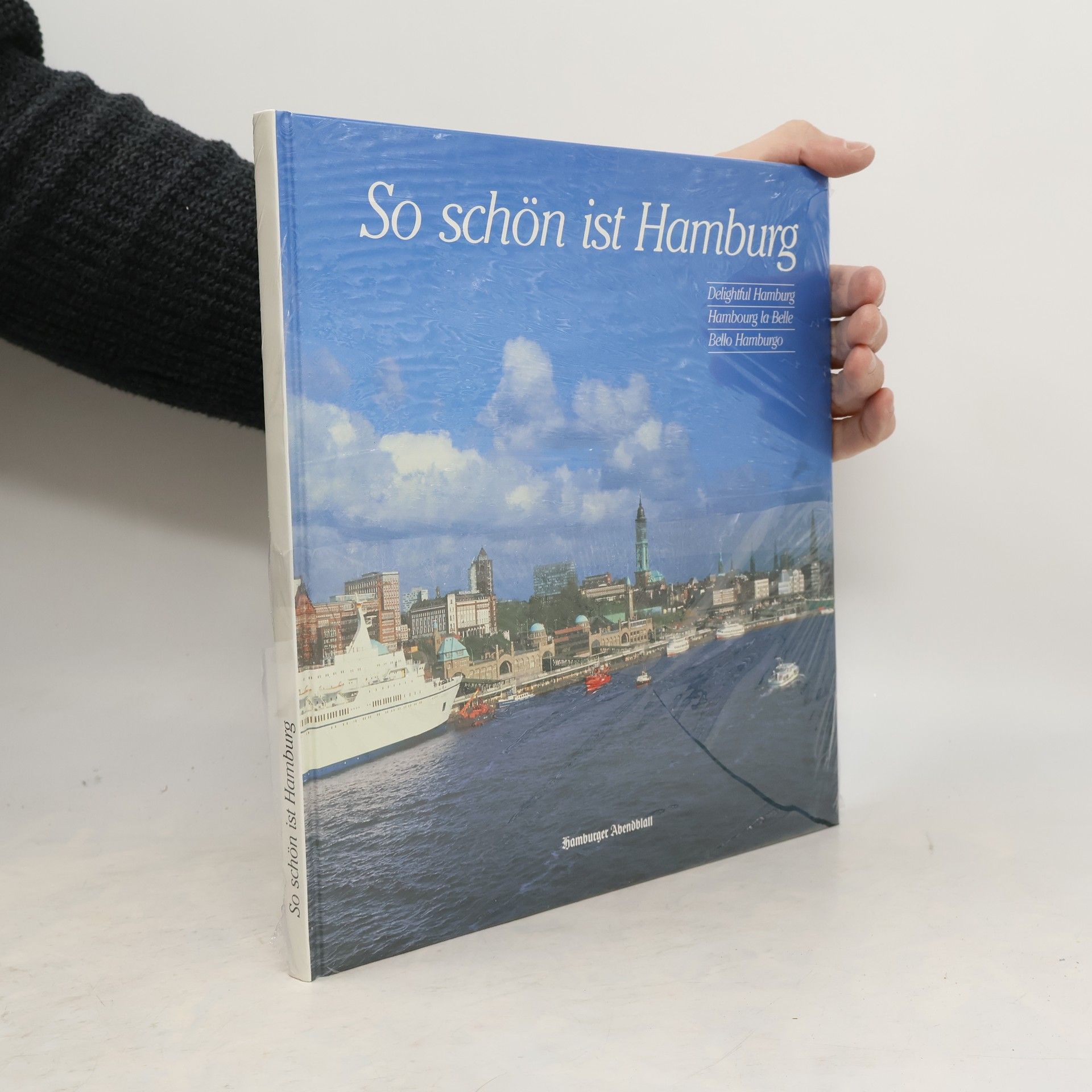 Kolektív autorov So schön ist Hamburg