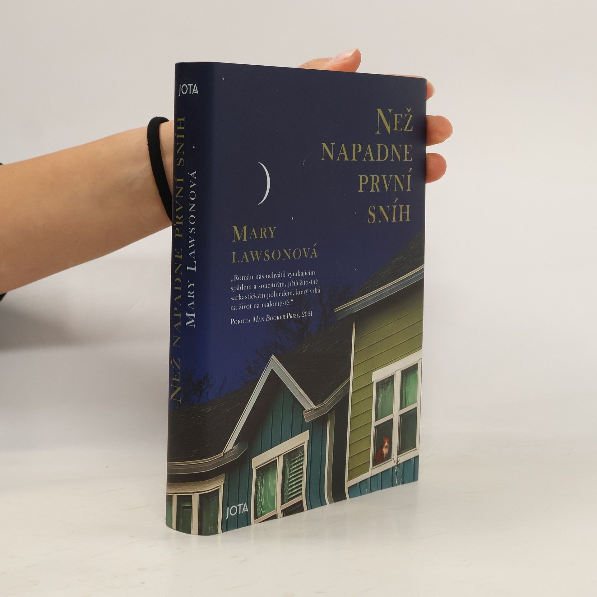 Mary Lawson Než napadne první sníh