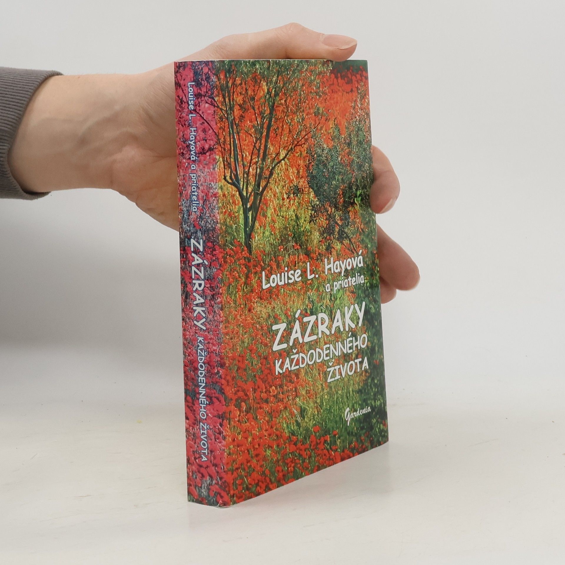 Lousie L. Hay Zázraky každodenného života