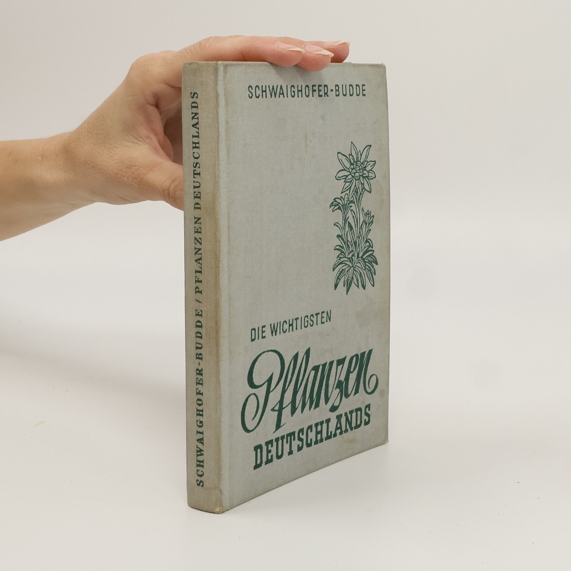 Die wichtigsten Pflanzen Deutschlands