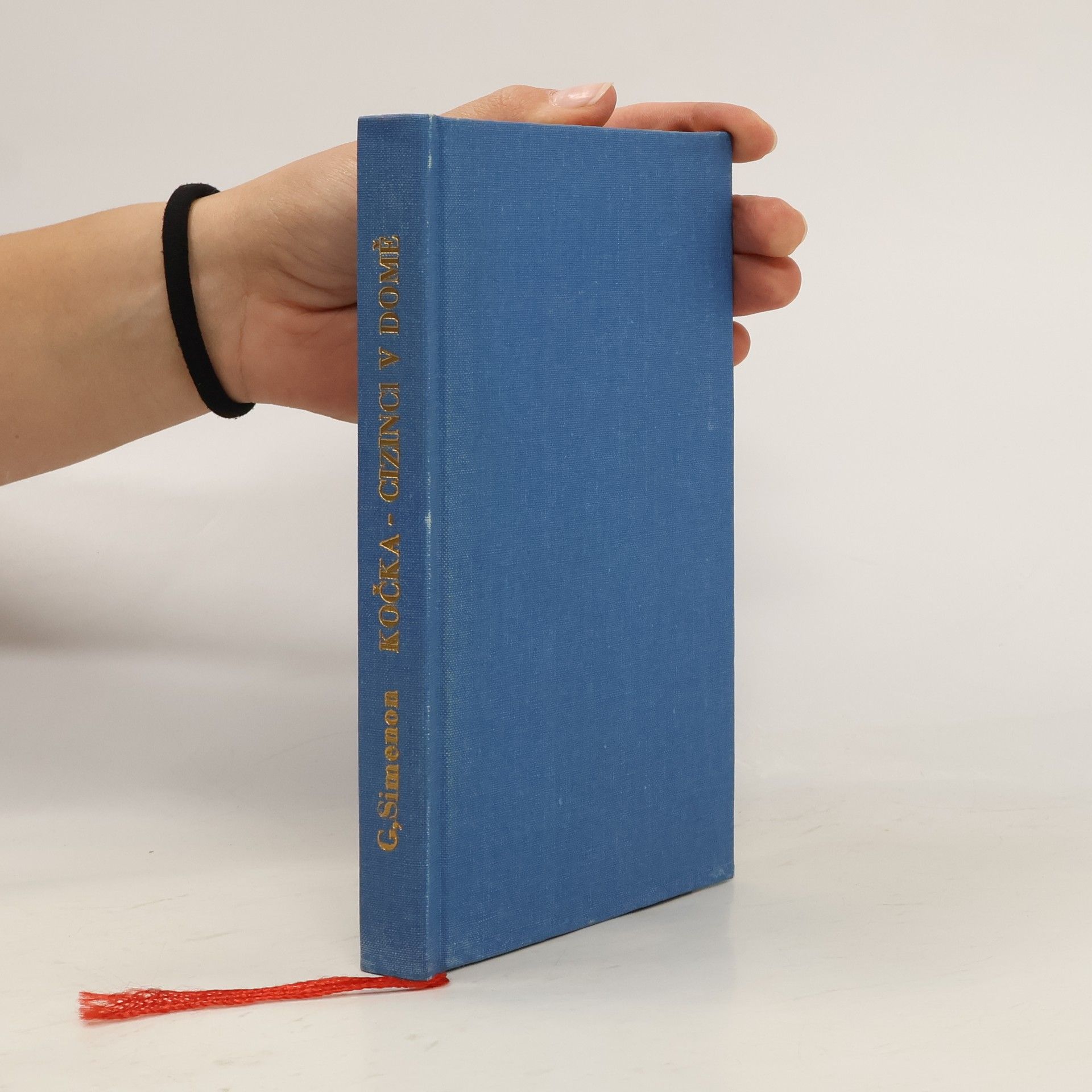 Kočka. Cizinci v domě