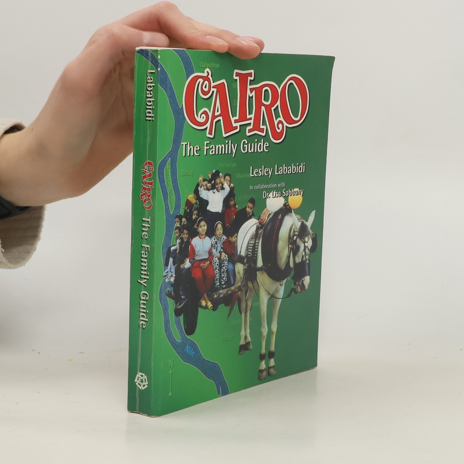 Lesley Kitchen Lababidi Cairo