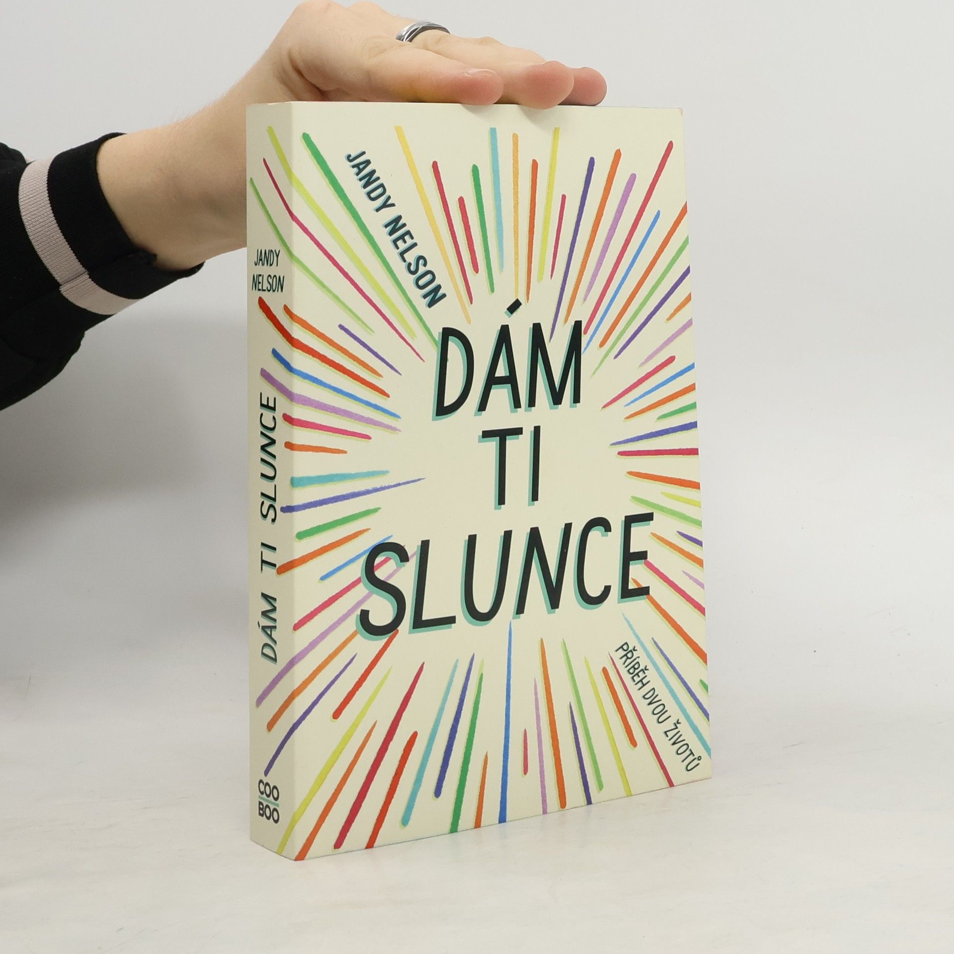 Jandy Nelson Dám ti slunce