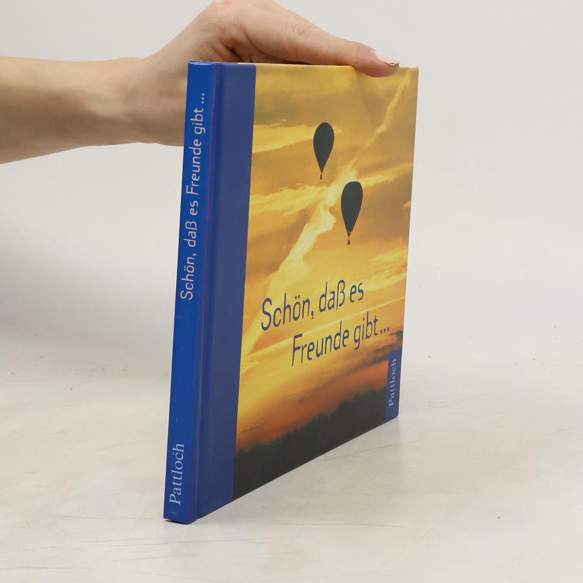 Vera Stein Schön, dass es Freunde gibt ... Freunde wie dich