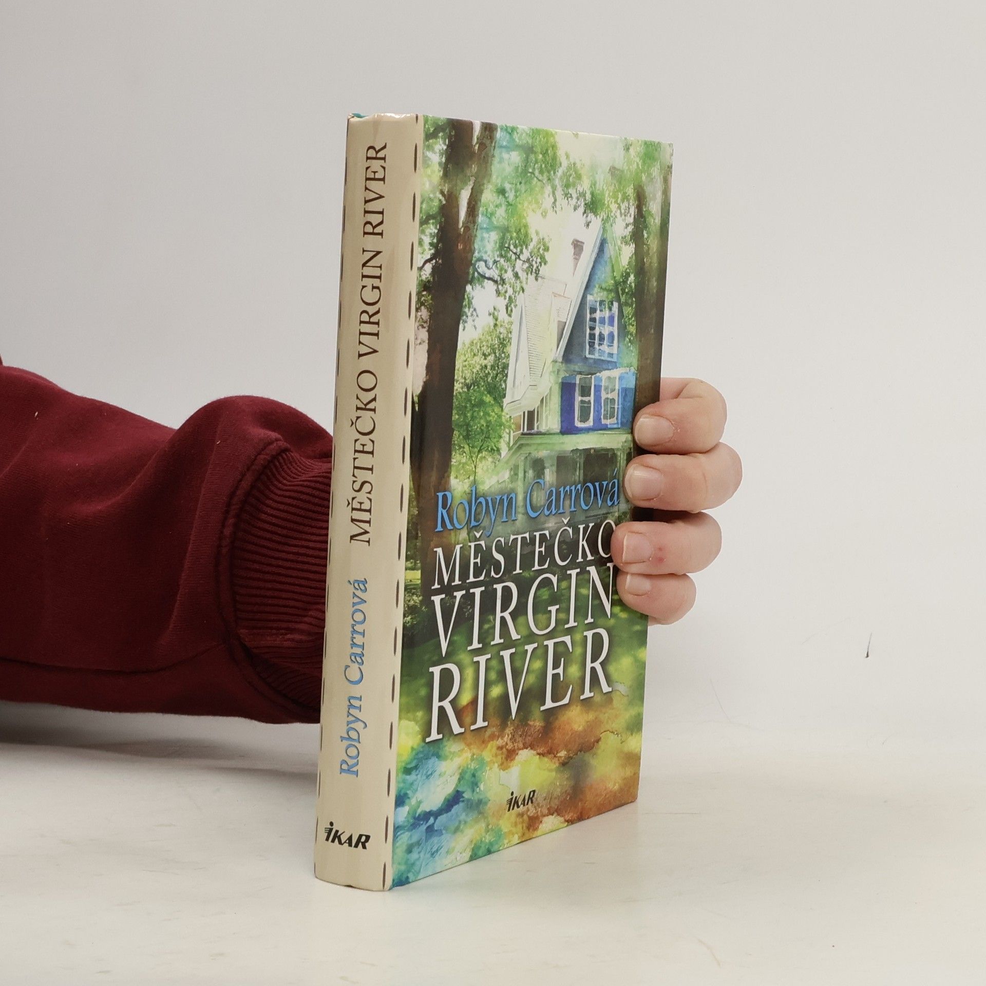 Robyn Carr Městečko Virgin River