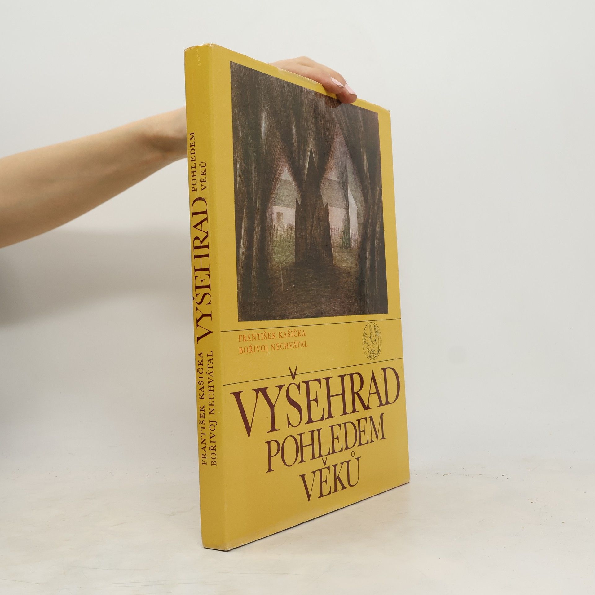 Bořivoj Nechvátal Vyšehrad pohledem věků