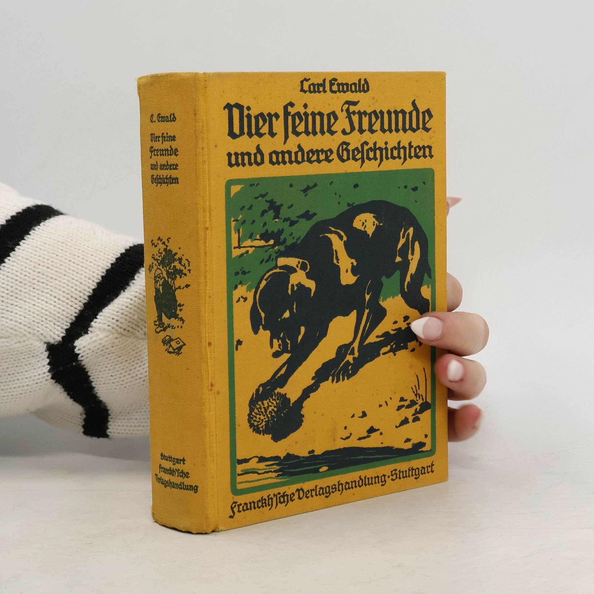 Vier feine Freunde und andere Geschichten