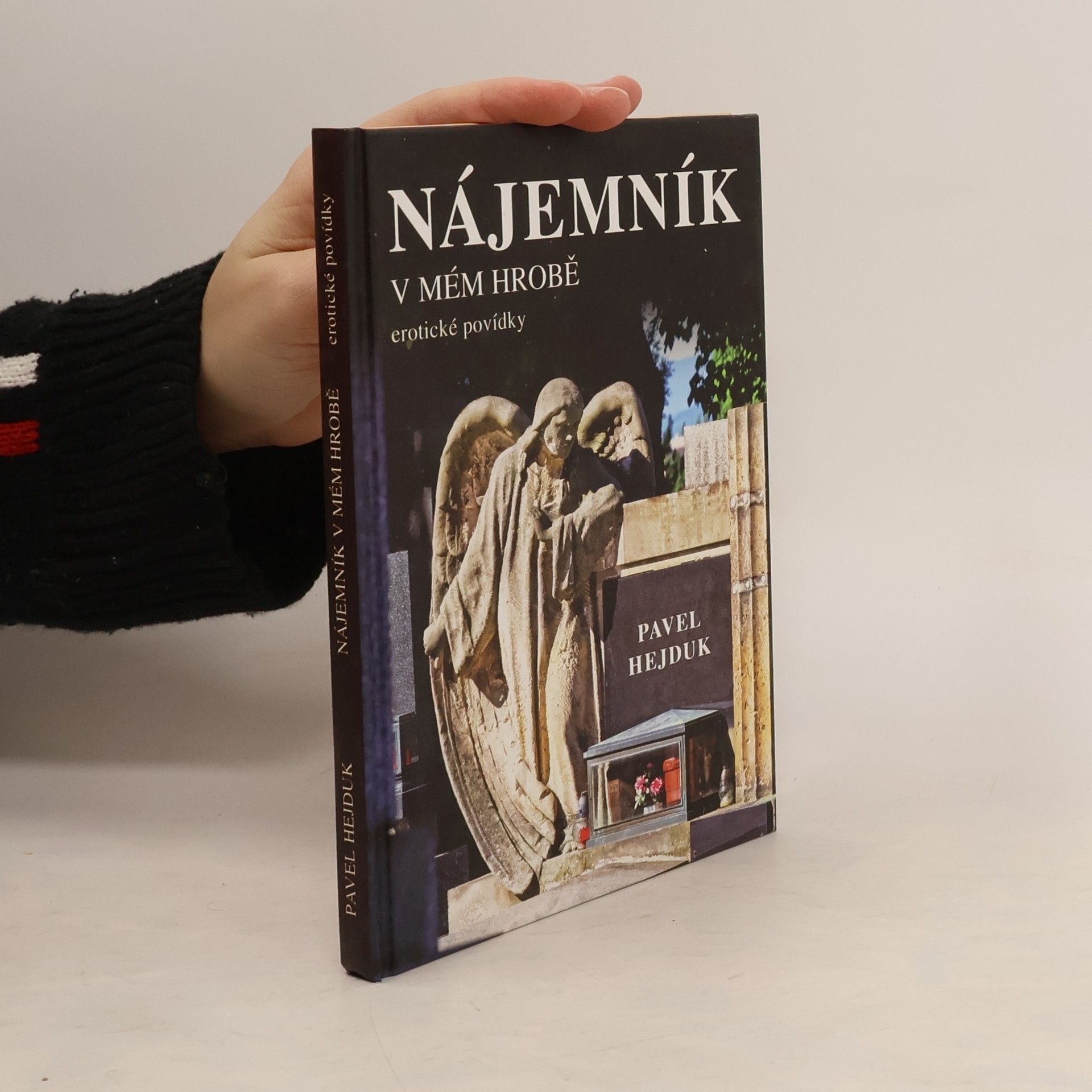 Nájemník v mém hrobě. Erotické povídky