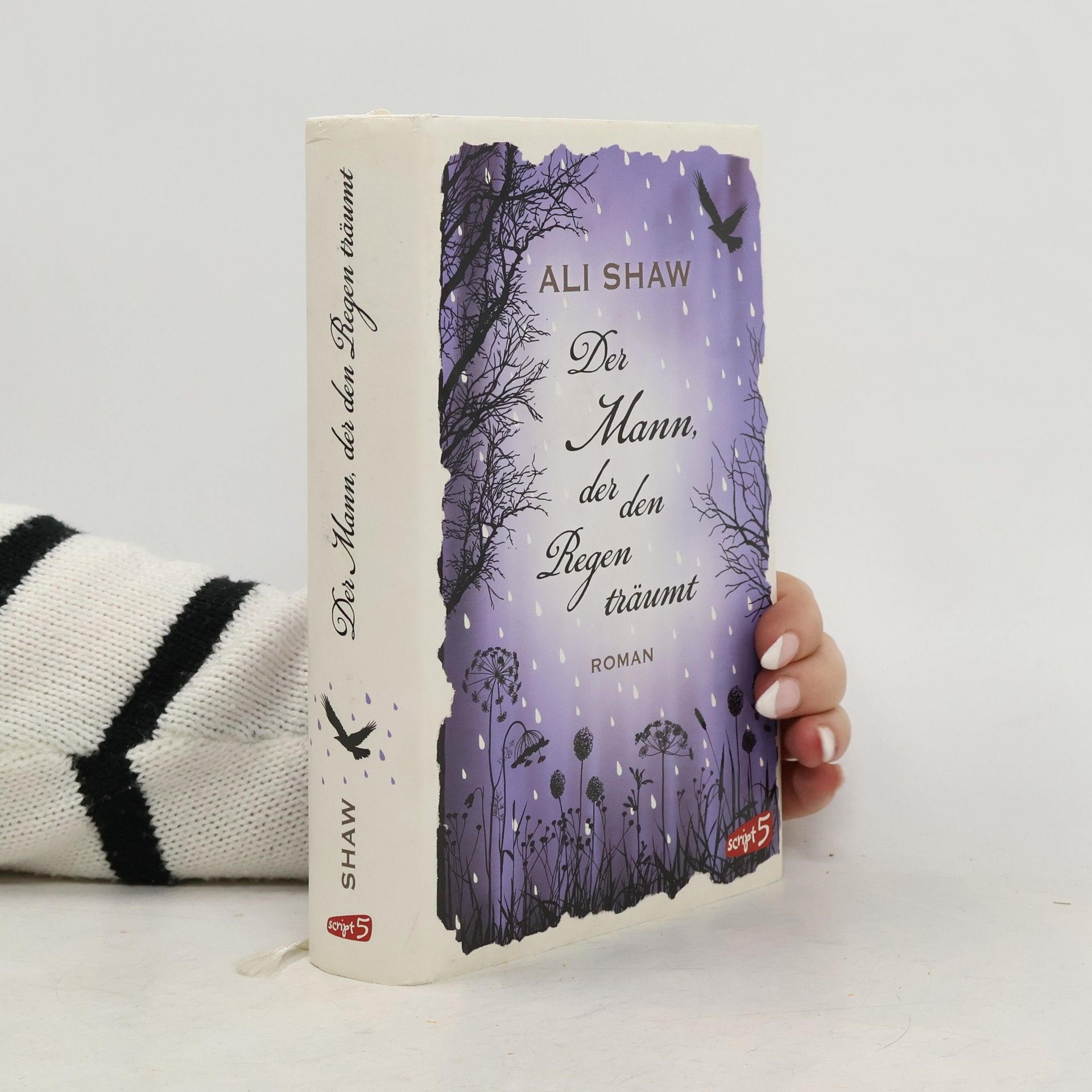 Ali Shaw Der Mann, der den Regen träumt