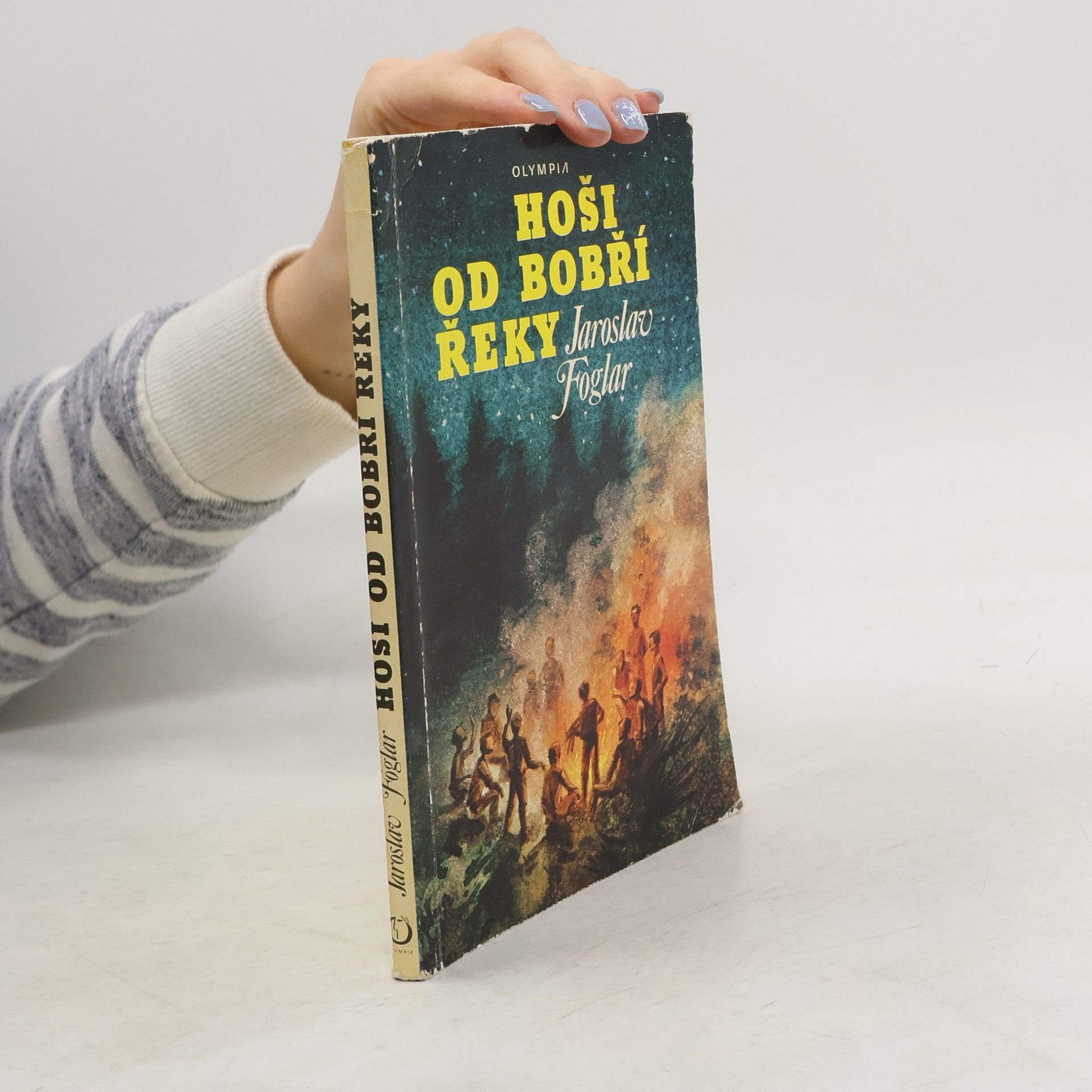 Jaroslav Foglar Hoši od Bobří řeky